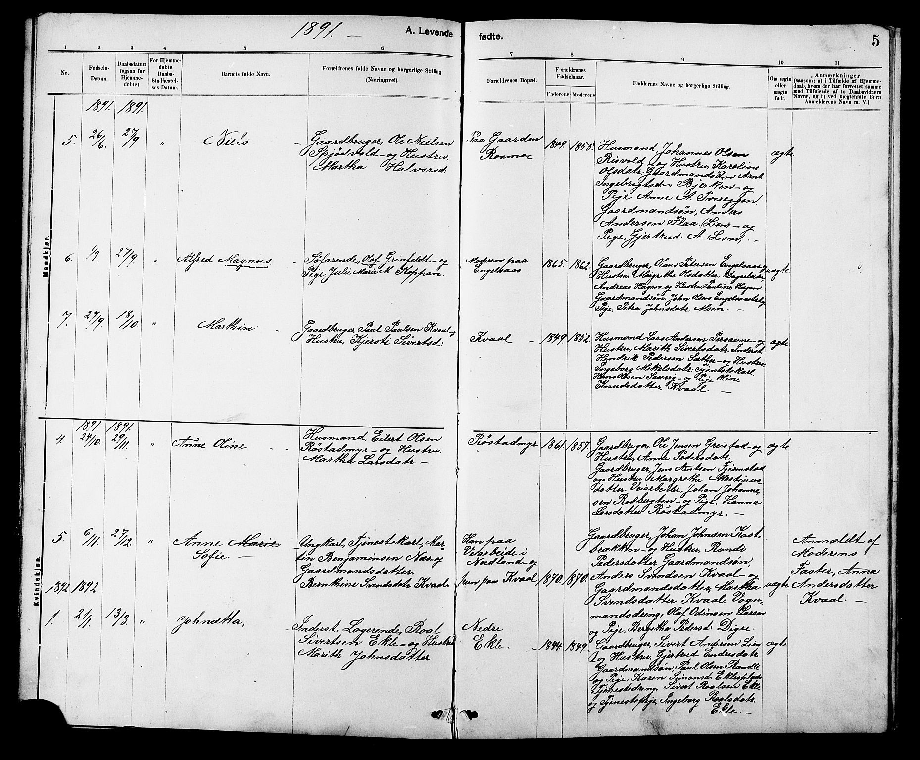 Ministerialprotokoller, klokkerbøker og fødselsregistre - Sør-Trøndelag, AV/SAT-A-1456/608/L0341: Parish register (copy) no. 608C07, 1890-1912, p. 5