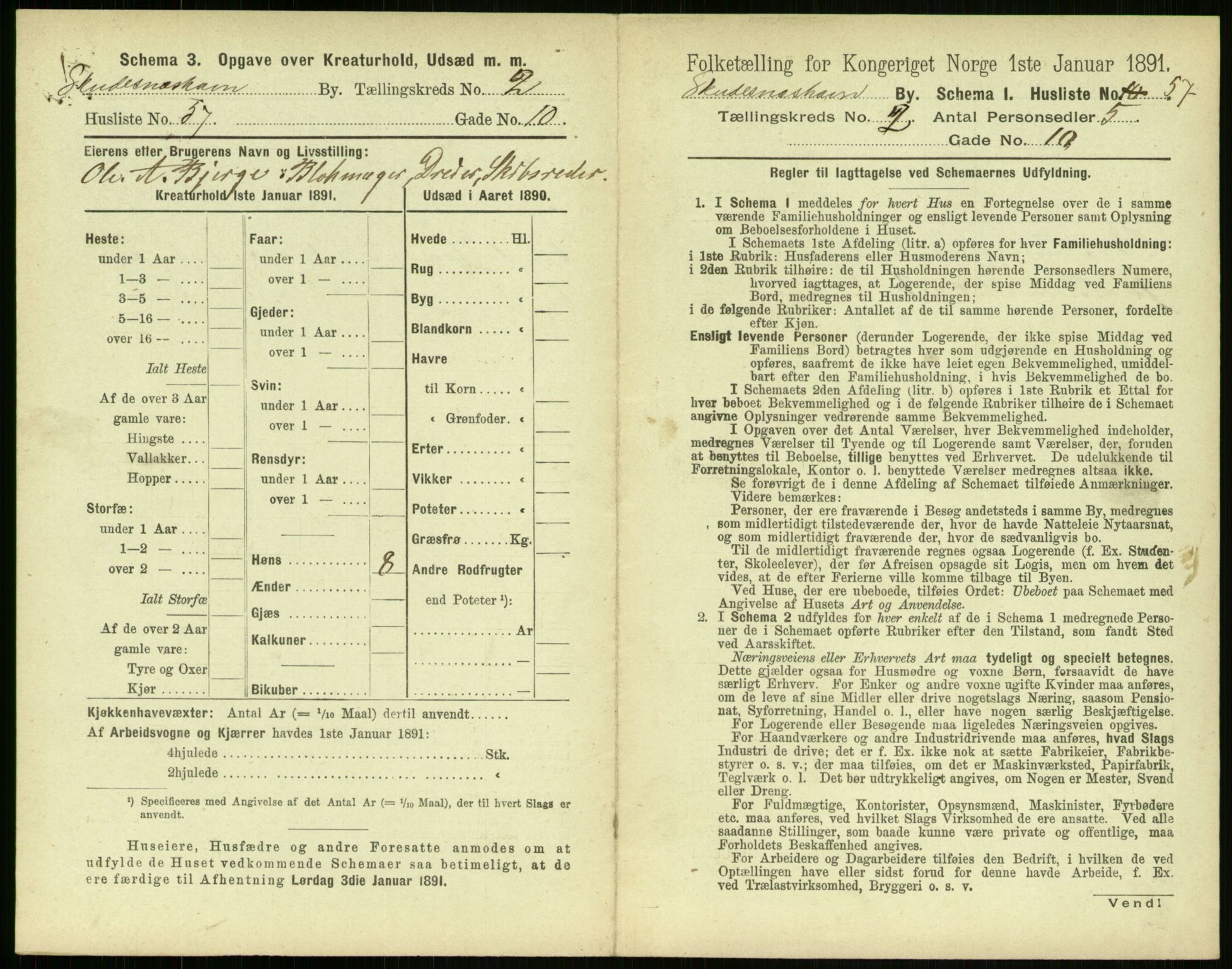 RA, 1891 census for 1104 Skudeneshavn, 1891, p. 172