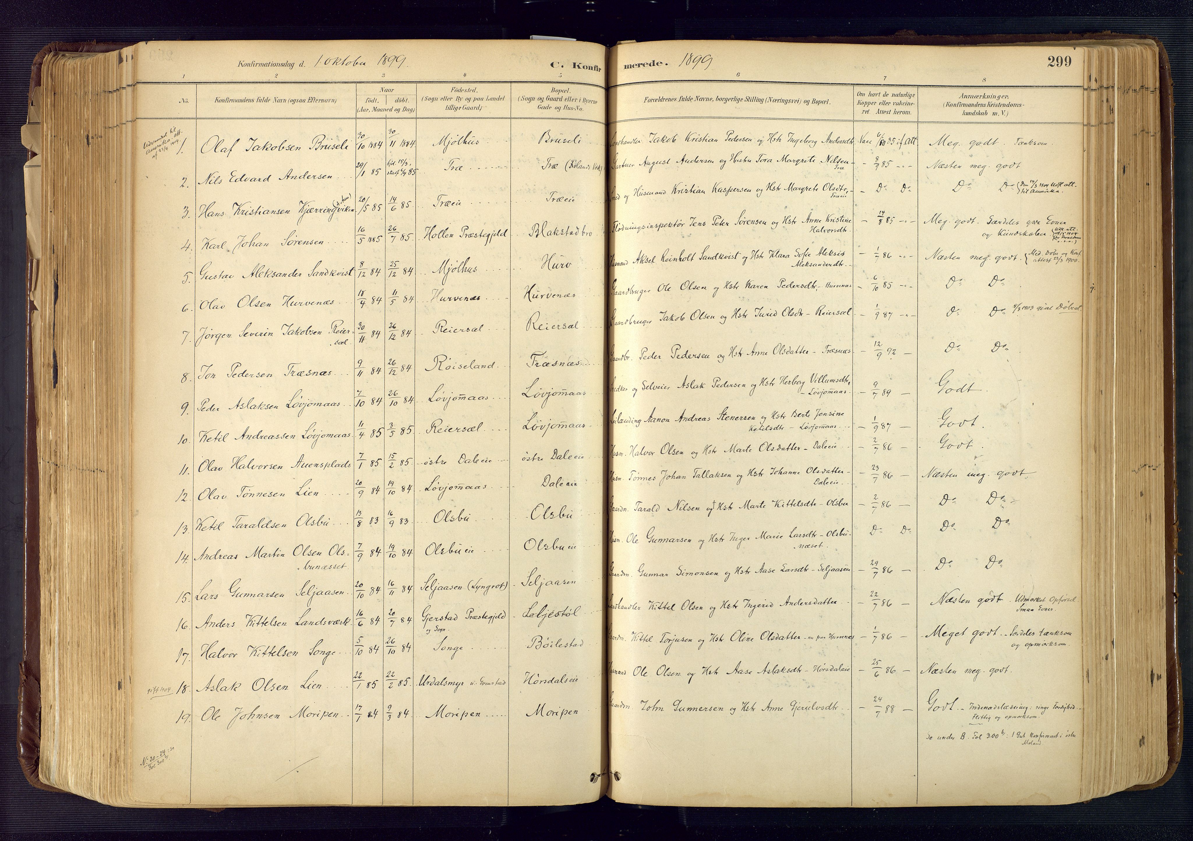 Froland sokneprestkontor, SAK/1111-0013/F/Fa/L0005: Parish register (official) no. A 5, 1882-1921, p. 299