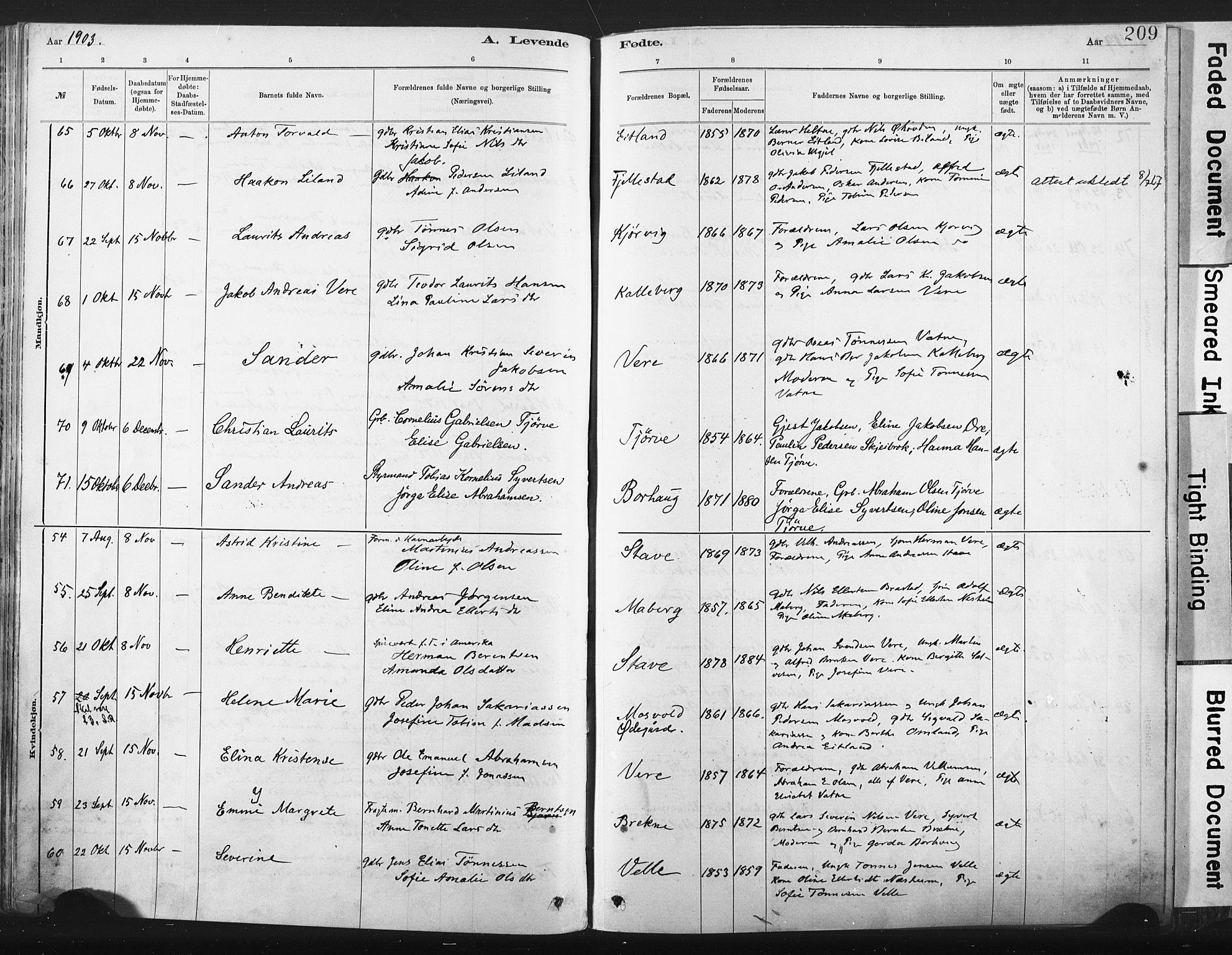 Lista sokneprestkontor, AV/SAK-1111-0027/F/Fa/L0012: Parish register (official) no. A 12, 1879-1903, p. 209