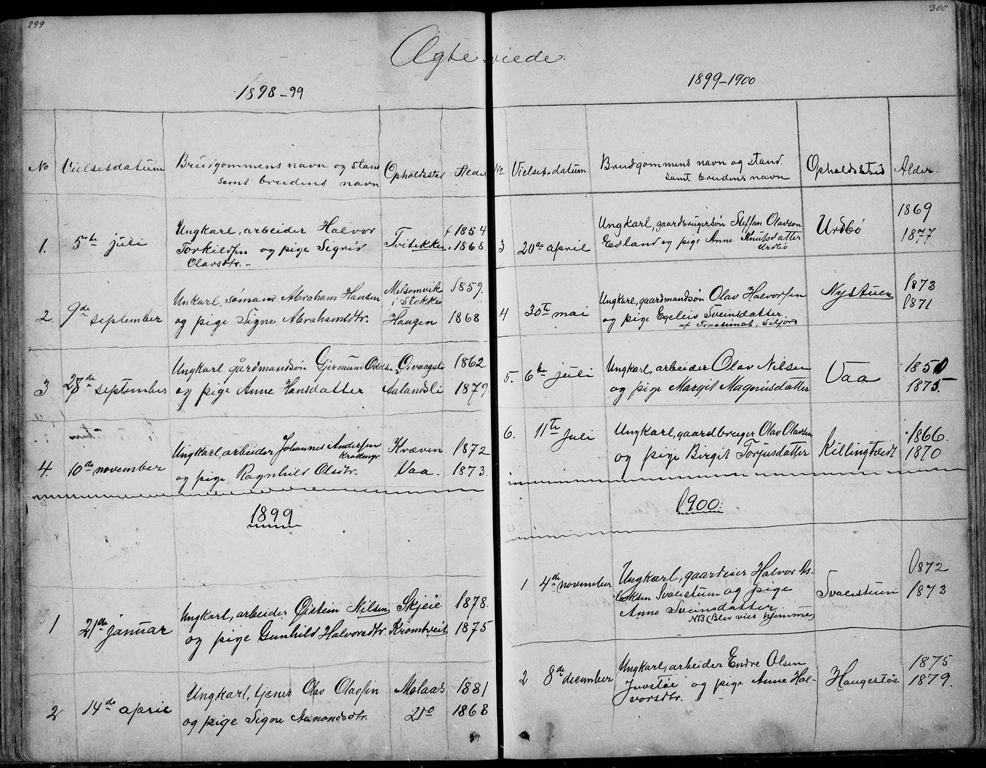 Rauland kirkebøker, SAKO/A-292/G/Ga/L0002: Parish register (copy) no. I 2, 1849-1935, p. 299-300