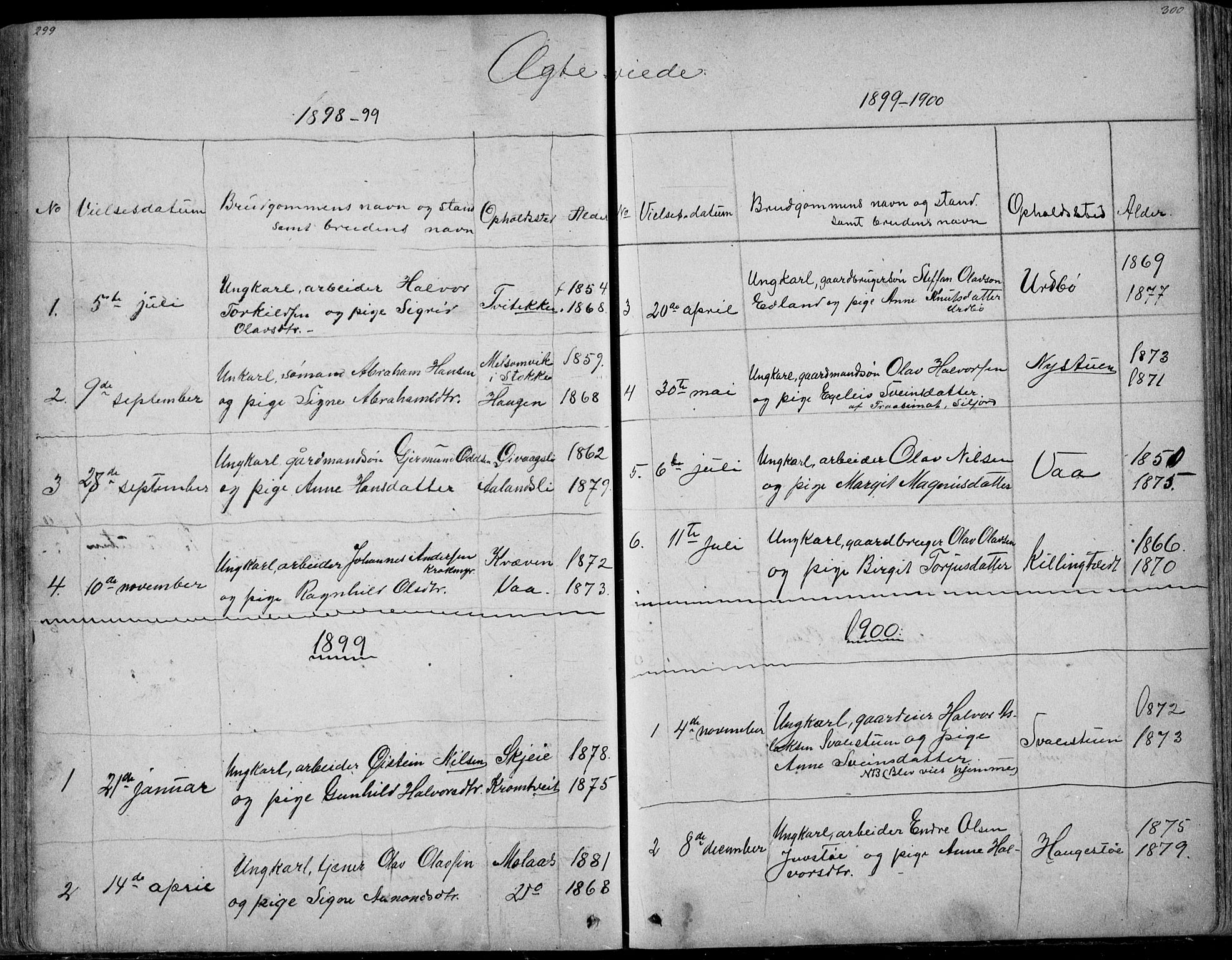 Rauland kirkebøker, AV/SAKO-A-292/G/Ga/L0002: Parish register (copy) no. I 2, 1849-1935, p. 299-300