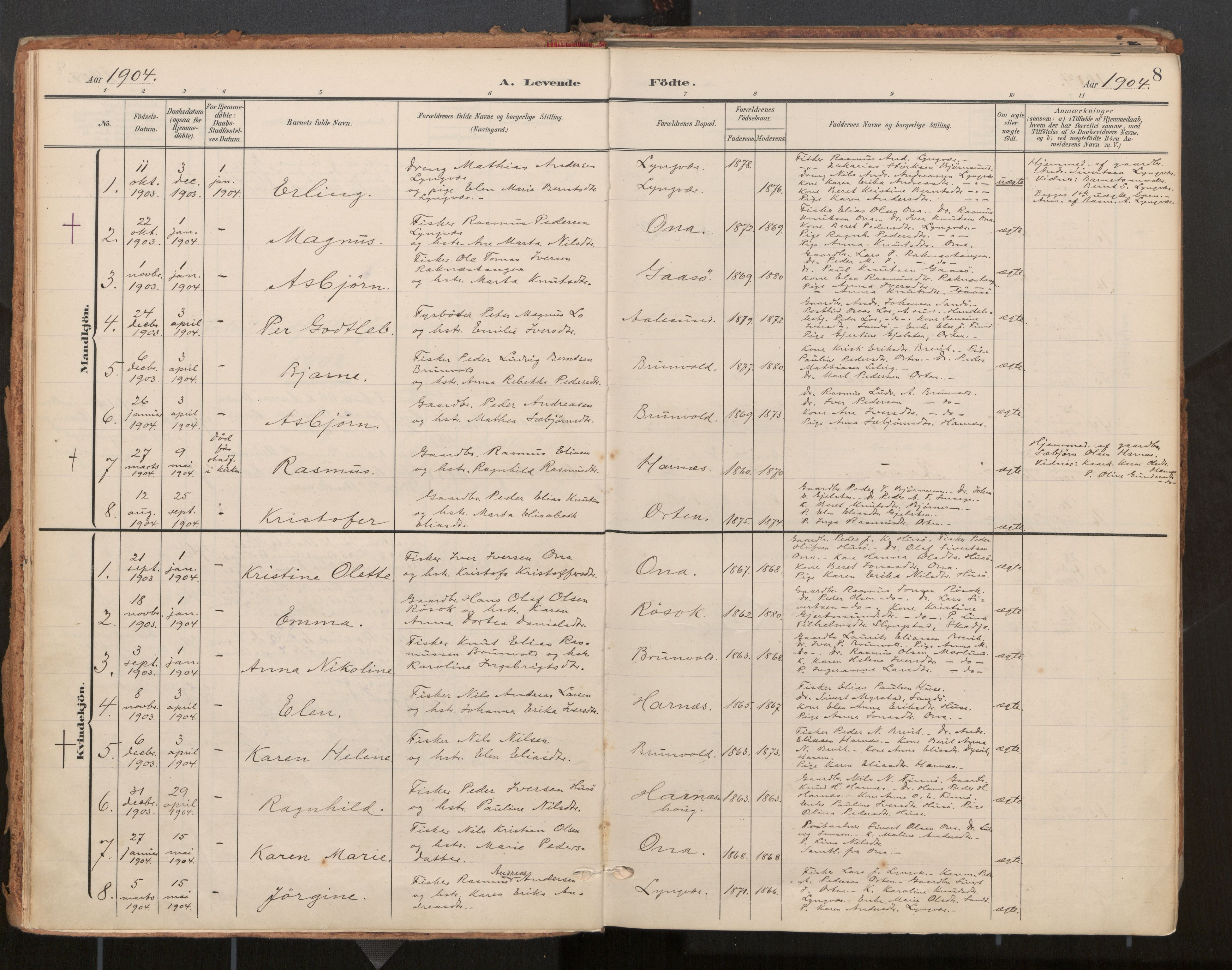 Ministerialprotokoller, klokkerbøker og fødselsregistre - Møre og Romsdal, SAT/A-1454/561/L0730: Parish register (official) no. 561A04, 1901-1929, p. 8