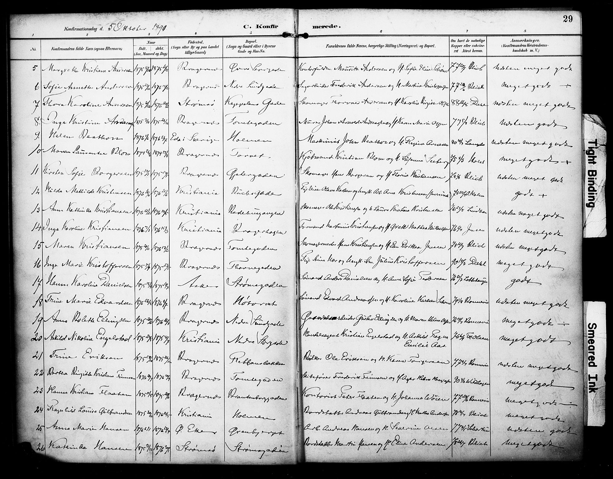 Bragernes kirkebøker, SAKO/A-6/F/Fc/L0006: Parish register (official) no. III 6, 1888-1899, p. 29