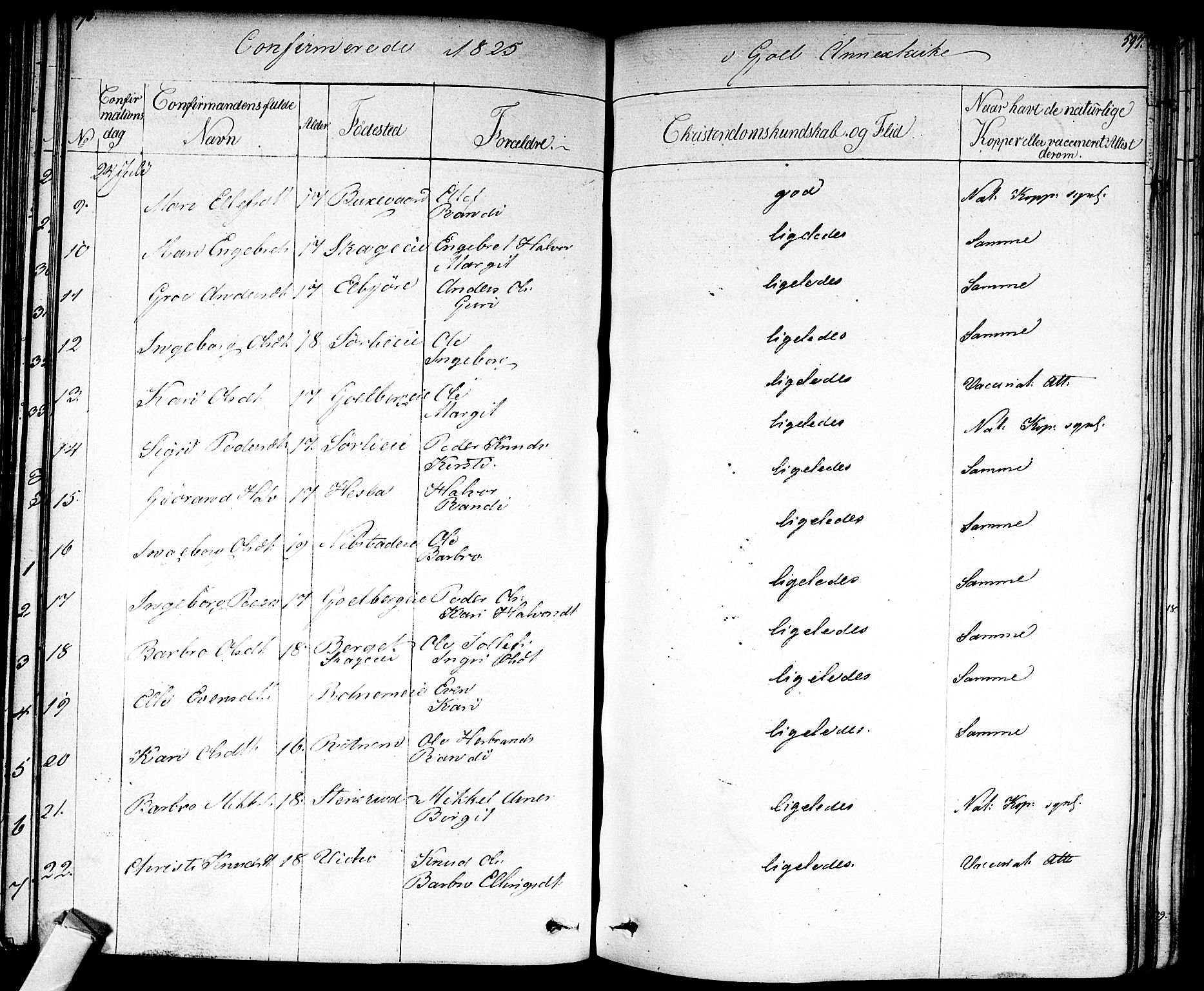 Nes kirkebøker, AV/SAKO-A-236/F/Fa/L0008: Parish register (official) no. 8, 1824-1834, p. 596-597