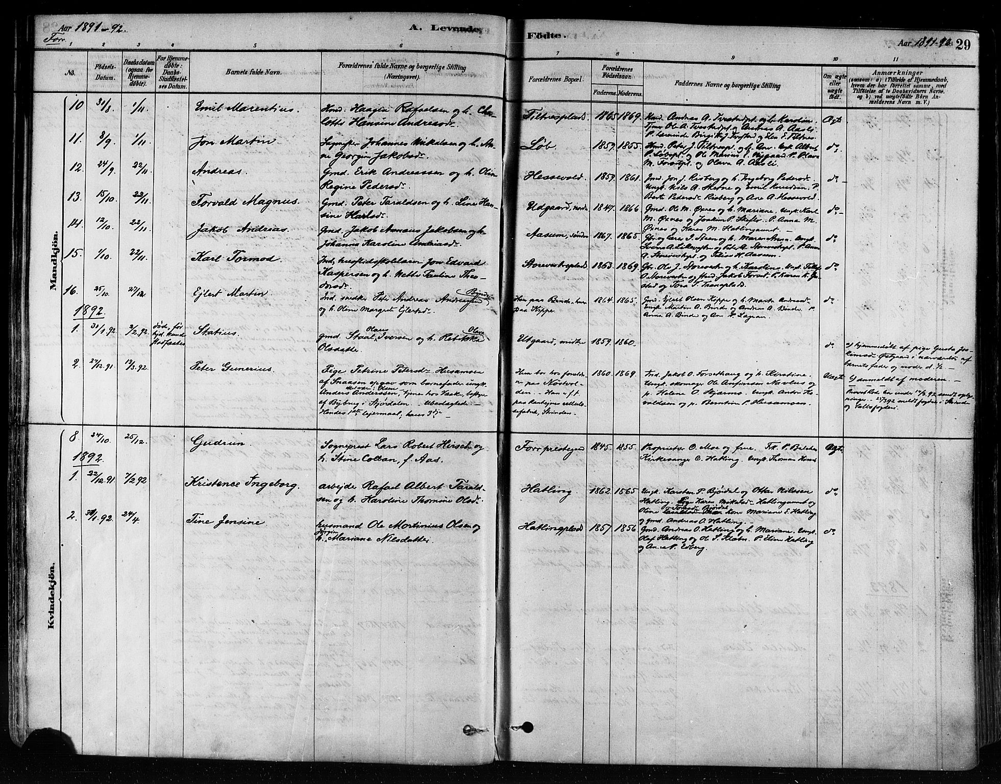 Ministerialprotokoller, klokkerbøker og fødselsregistre - Nord-Trøndelag, SAT/A-1458/746/L0448: Parish register (official) no. 746A07 /1, 1878-1900, p. 29