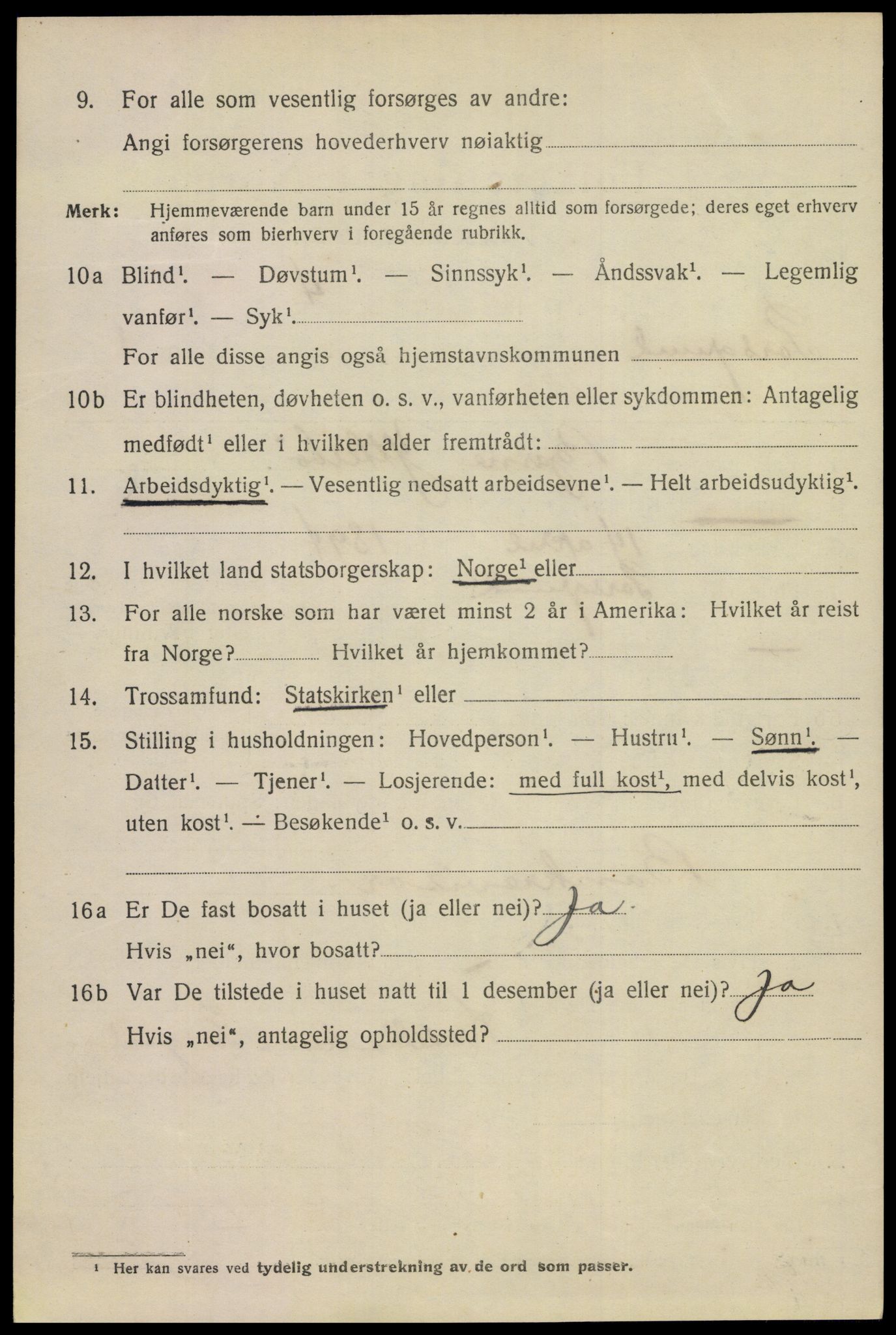 SAKO, 1920 census for Porsgrunn, 1920, p. 17308