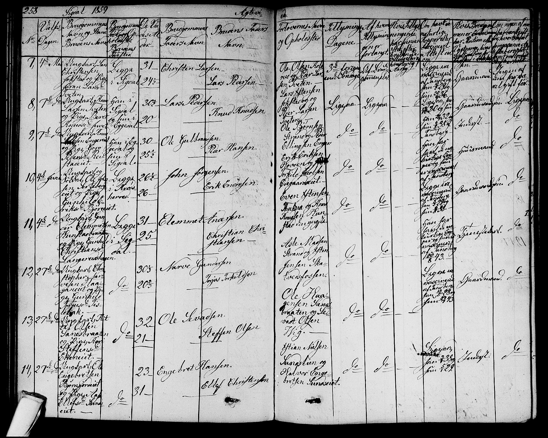 Sigdal kirkebøker, AV/SAKO-A-245/G/Ga/L0003: Parish register (copy) no. I 3, 1857-1878, p. 258