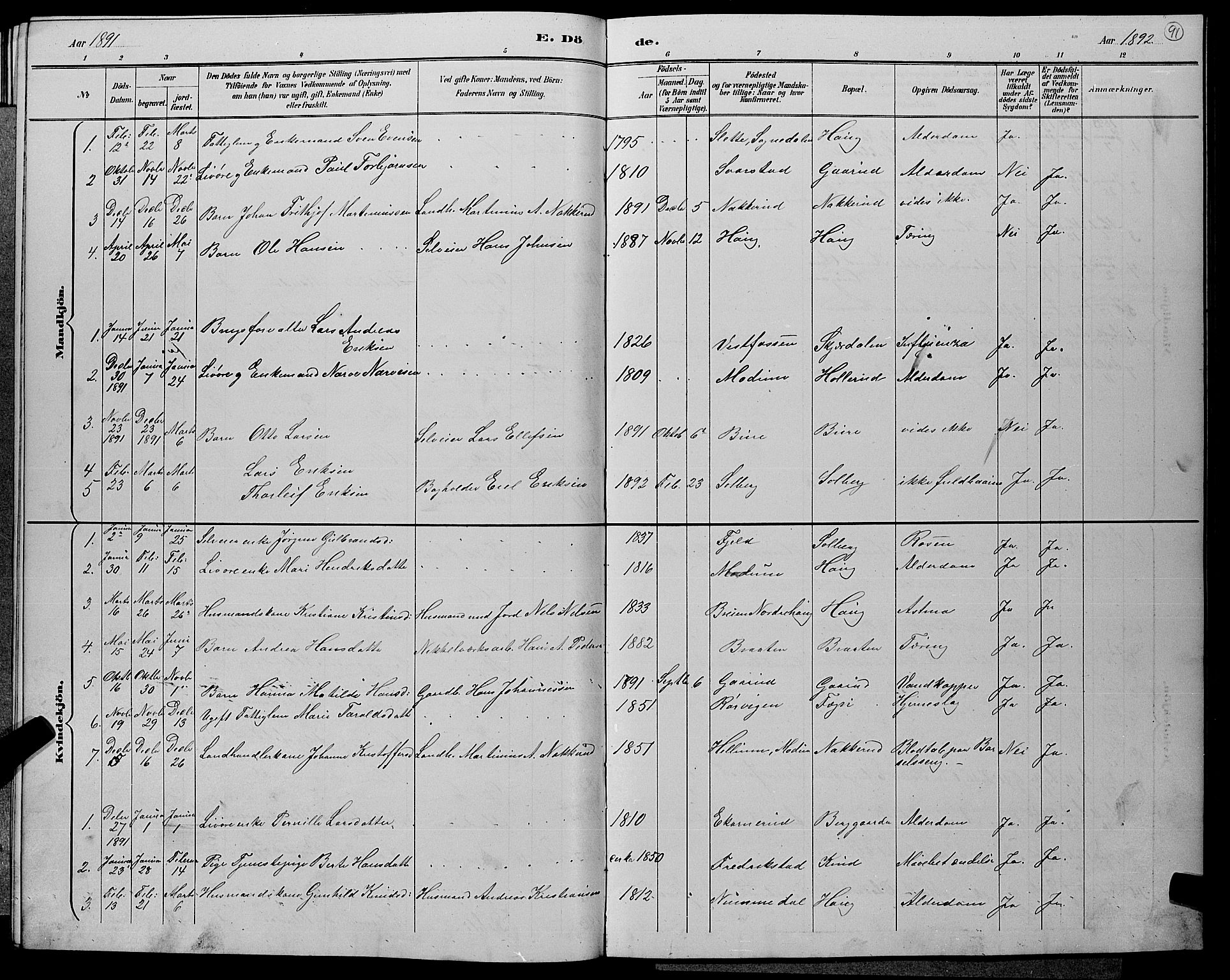 Hole kirkebøker, AV/SAKO-A-228/G/Gb/L0003: Parish register (copy) no. II 3, 1890-1901, p. 91