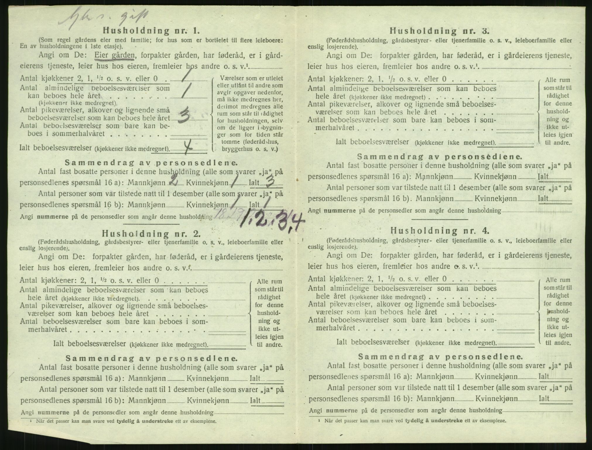 SAT, 1920 census for Borge, 1920, p. 452