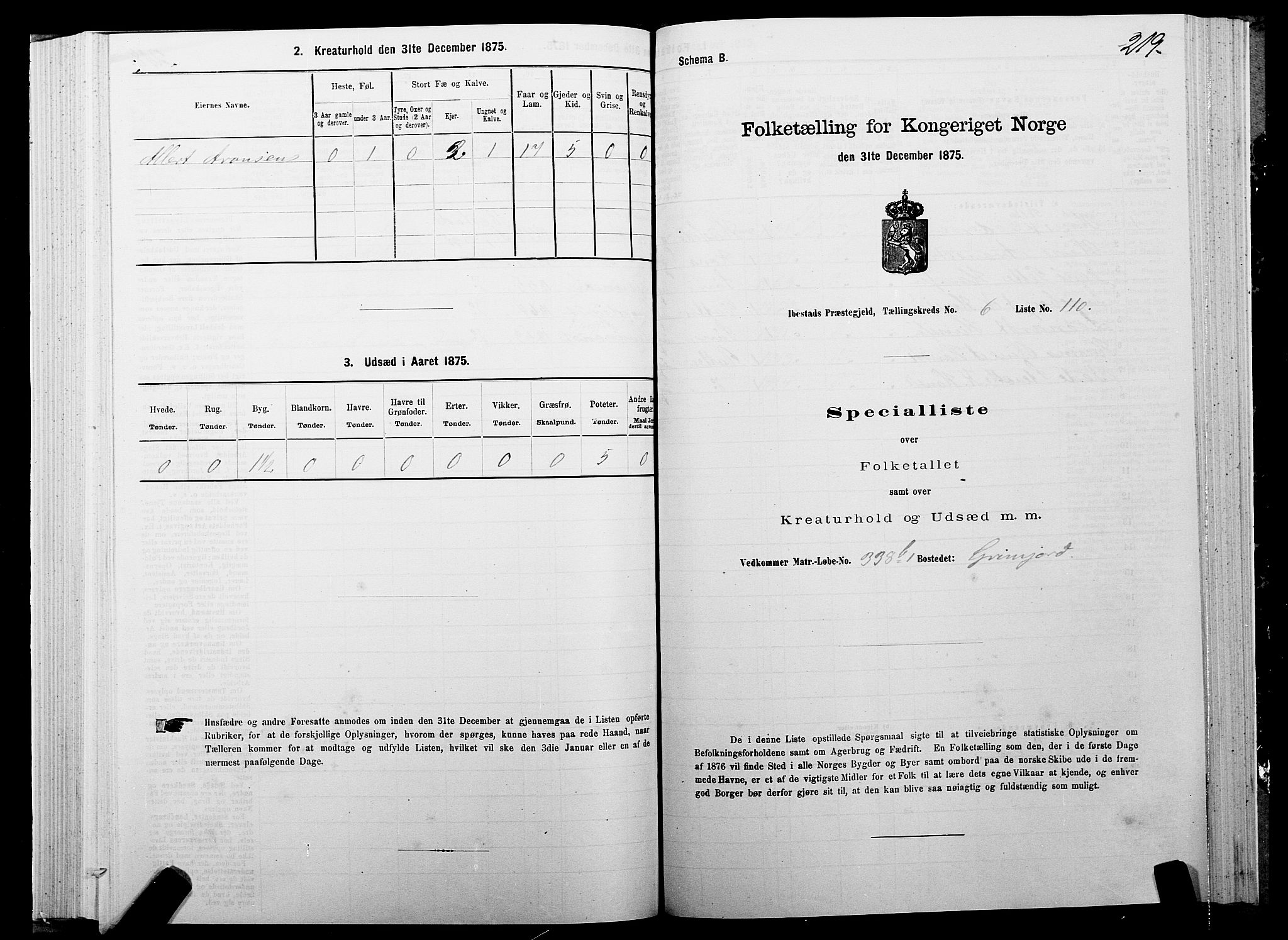 SATØ, 1875 census for 1917P Ibestad, 1875, p. 4219