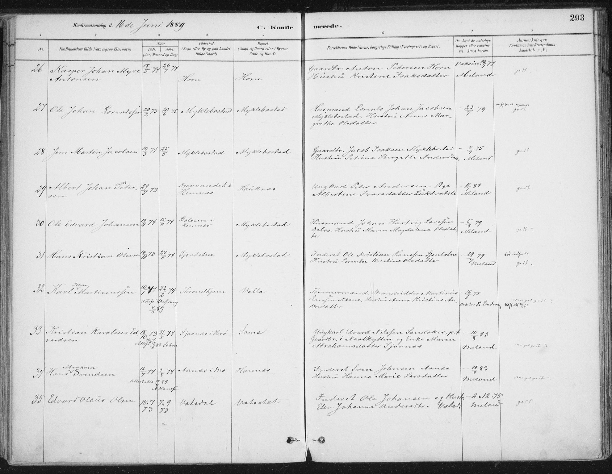 Ministerialprotokoller, klokkerbøker og fødselsregistre - Nordland, AV/SAT-A-1459/838/L0552: Parish register (official) no. 838A10, 1880-1910, p. 293