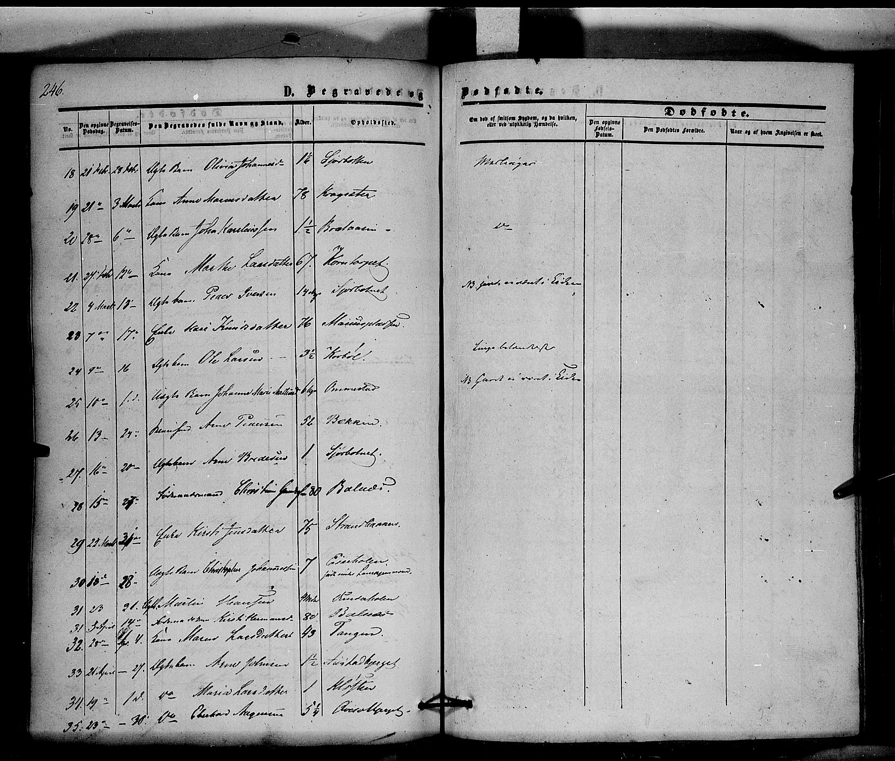 Hof prestekontor, AV/SAH-PREST-038/H/Ha/Haa/L0008: Parish register (official) no. 8, 1849-1861, p. 246