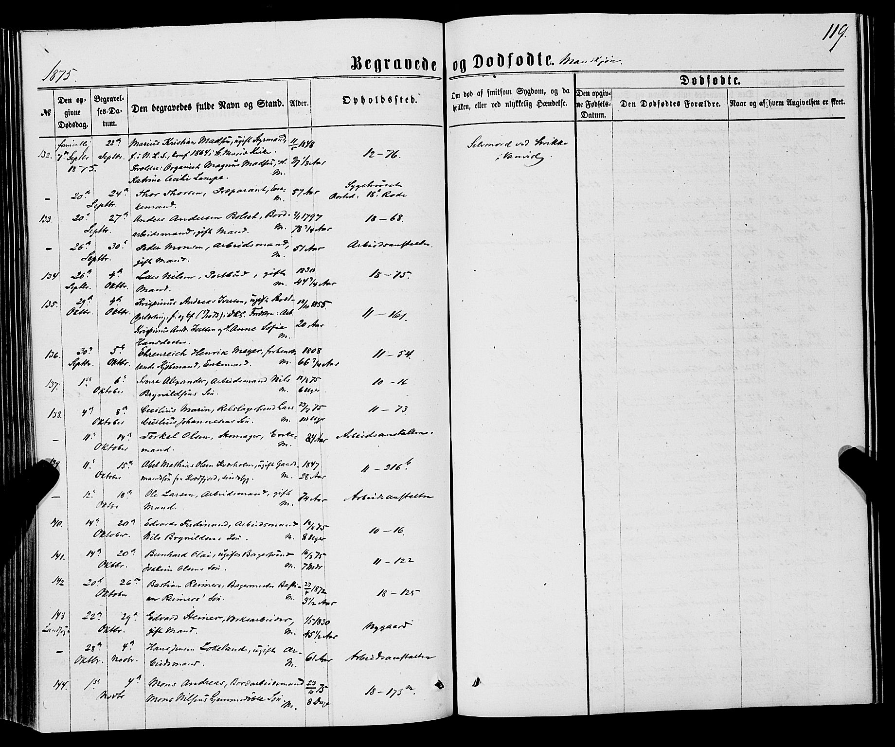 Domkirken sokneprestembete, AV/SAB-A-74801/H/Haa/L0042: Parish register (official) no. E 3, 1863-1876, p. 119