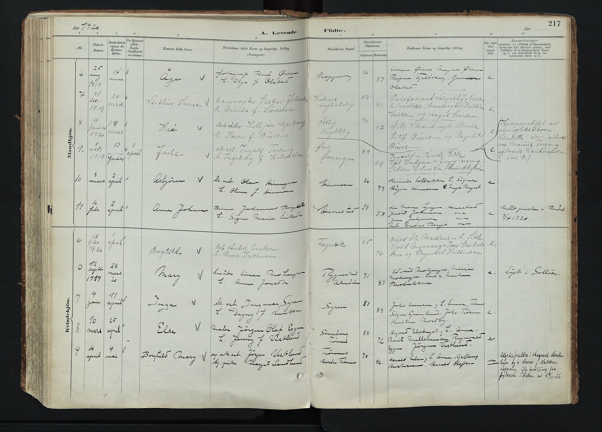 Stor-Elvdal prestekontor, SAH/PREST-052/H/Ha/Haa/L0004: Parish register (official) no. 4, 1890-1922, p. 217