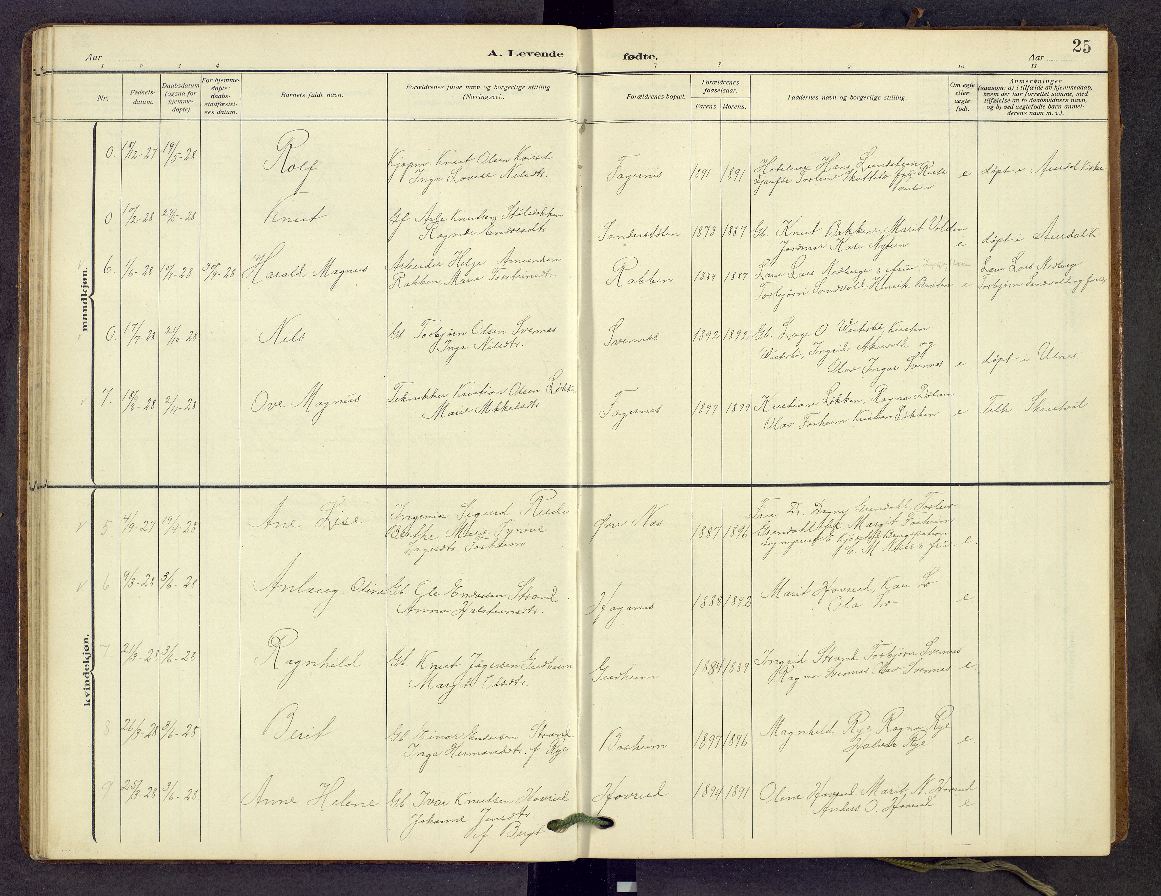 Nord-Aurdal prestekontor, AV/SAH-PREST-132/H/Ha/Hab/L0013: Parish register (copy) no. 13, 1911-1948, p. 25