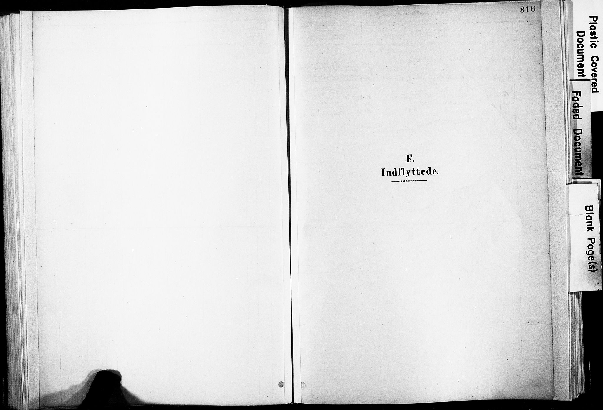 Ministerialprotokoller, klokkerbøker og fødselsregistre - Nordland, SAT/A-1459/835/L0526: Parish register (official) no. 835A03II, 1881-1910, p. 316