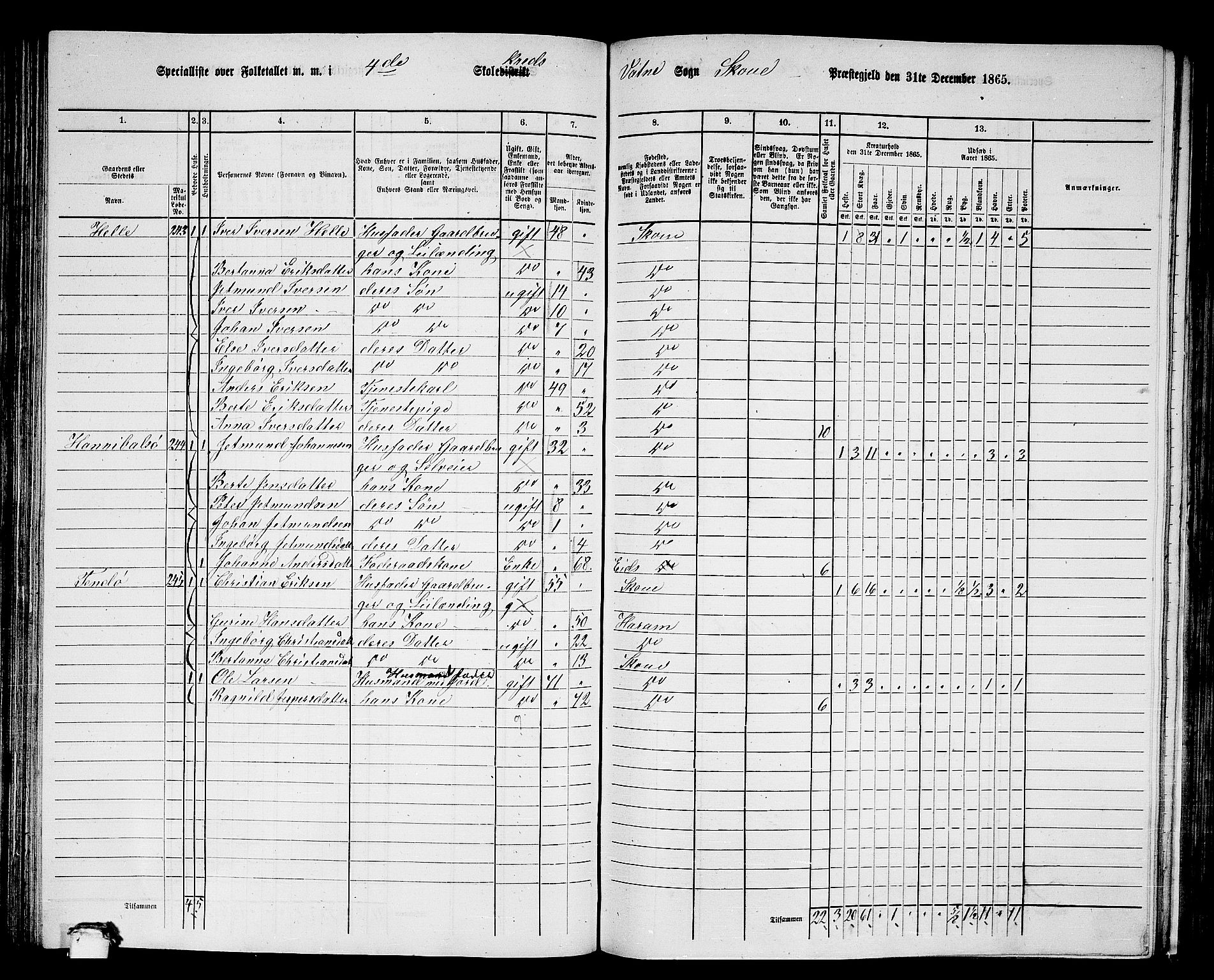 RA, 1865 census for Skodje, 1865, p. 88