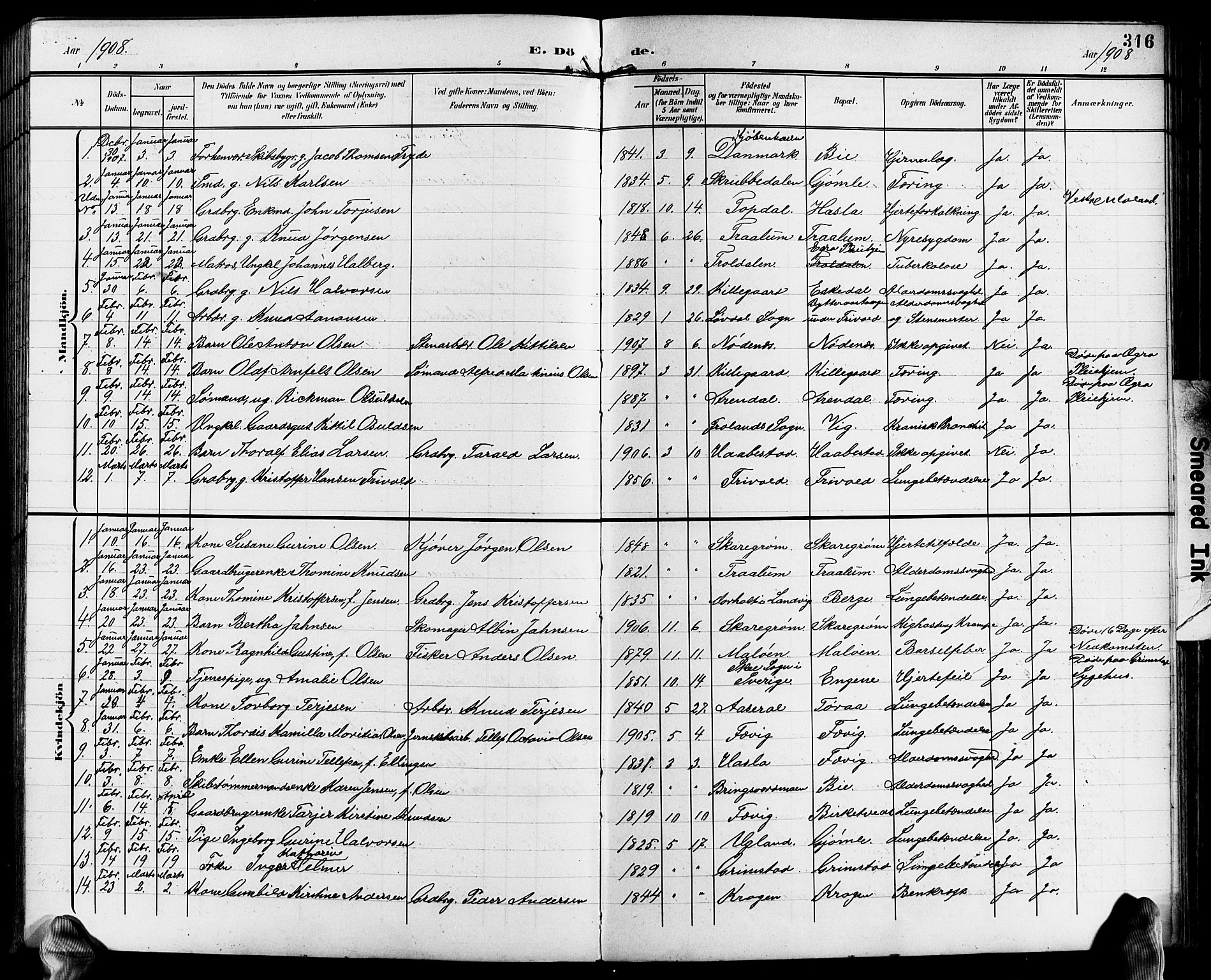 Fjære sokneprestkontor, AV/SAK-1111-0011/F/Fb/L0012: Parish register (copy) no. B 12, 1902-1925, p. 316