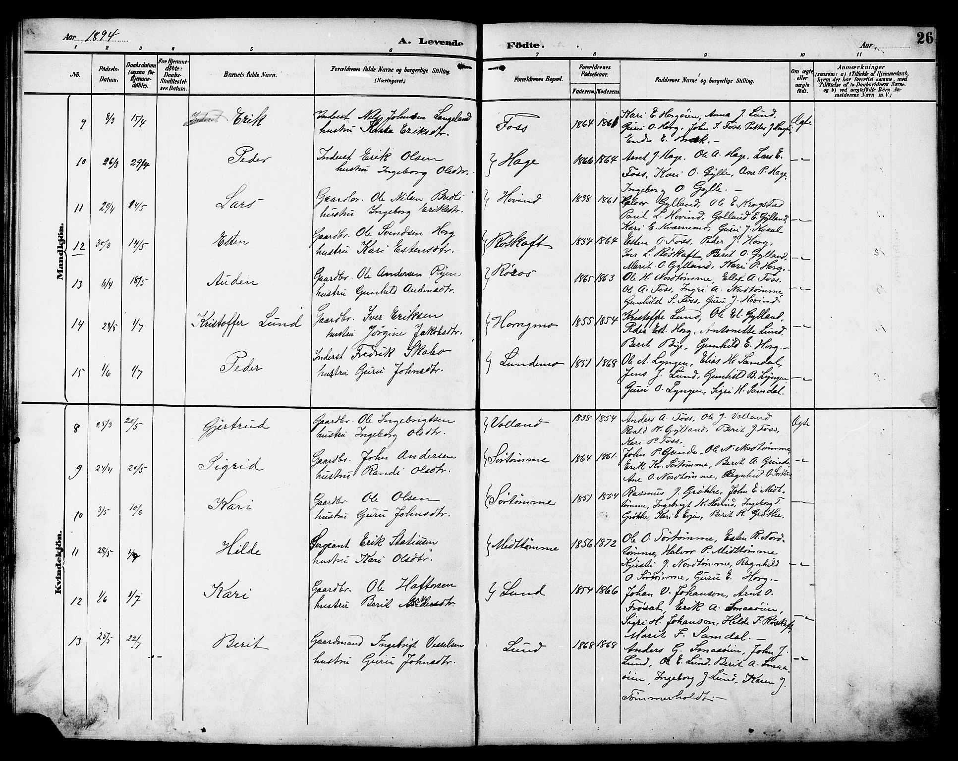 Ministerialprotokoller, klokkerbøker og fødselsregistre - Sør-Trøndelag, SAT/A-1456/692/L1111: Parish register (copy) no. 692C06, 1890-1904, p. 26
