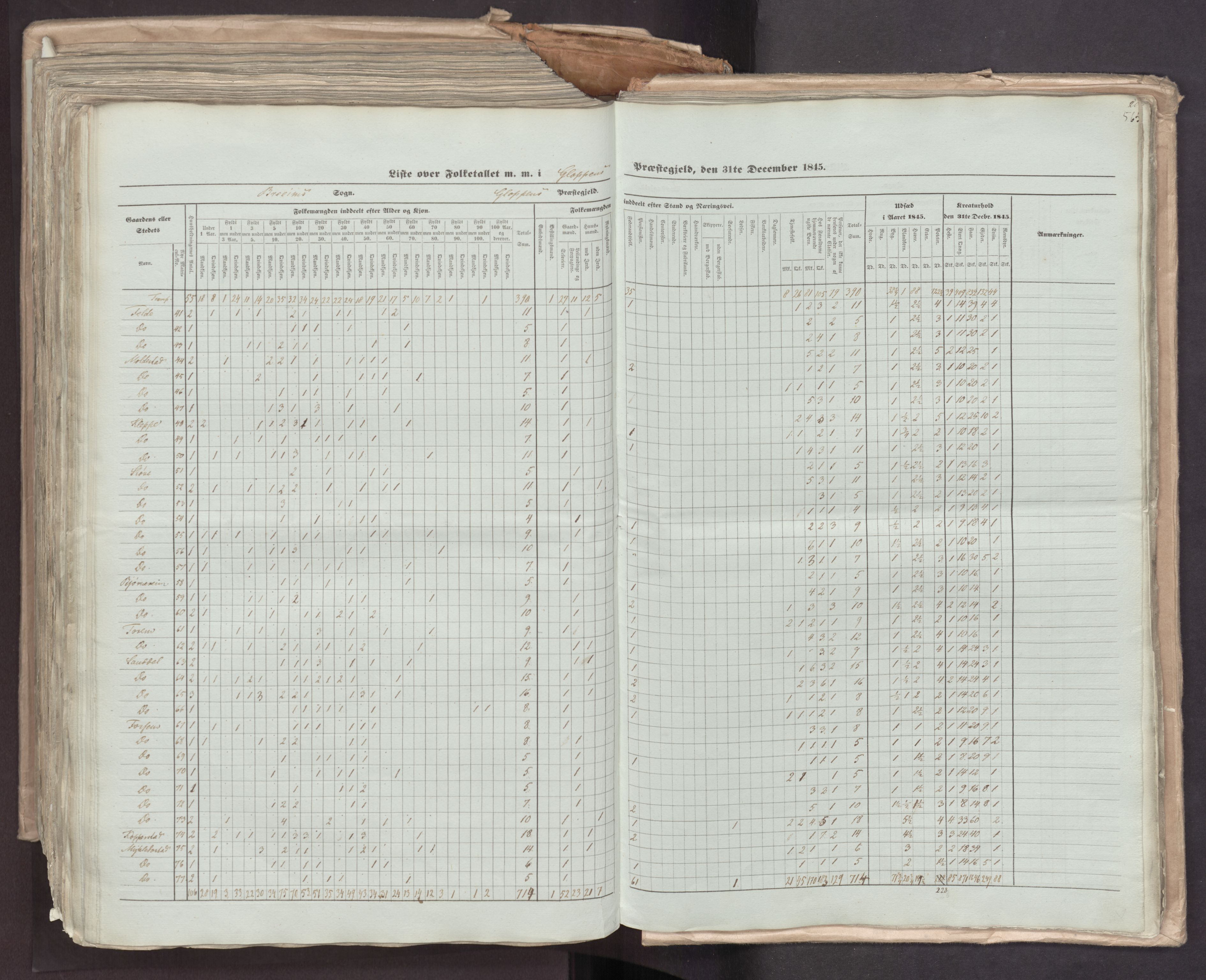 RA, Census 1845, vol. 7: Søndre Bergenhus amt og Nordre Bergenhus amt, 1845, p. 565