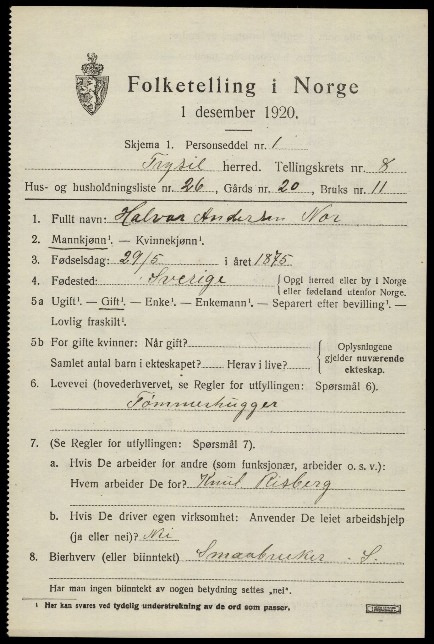 SAH, 1920 census for Trysil, 1920, p. 6543