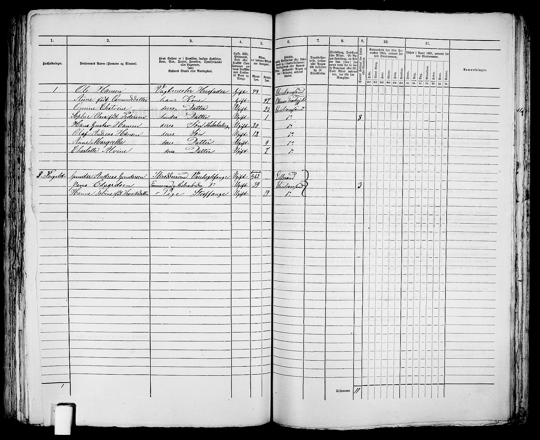 RA, 1865 census for Kristiansand, 1865, p. 373