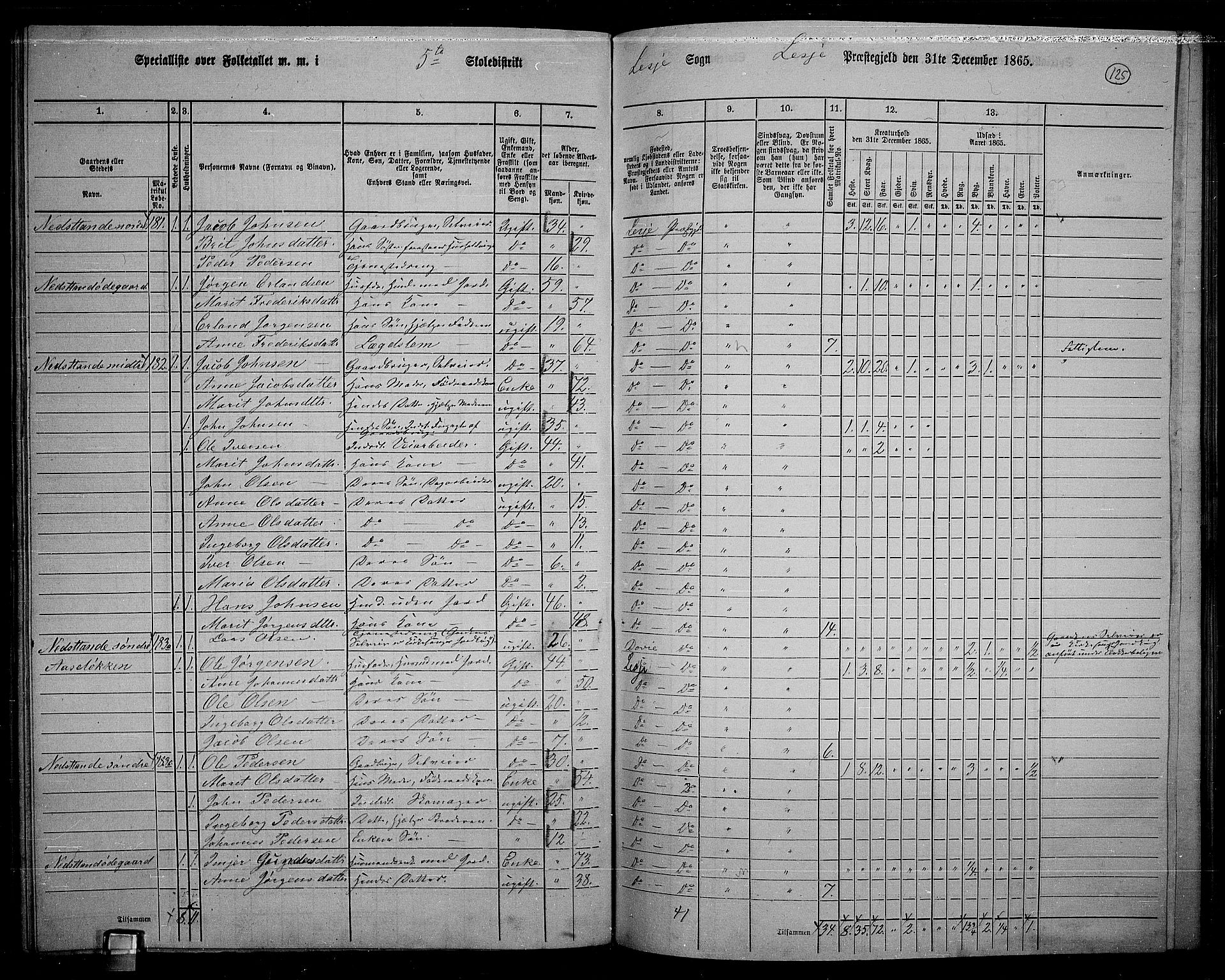 RA, 1865 census for Lesja, 1865, p. 112