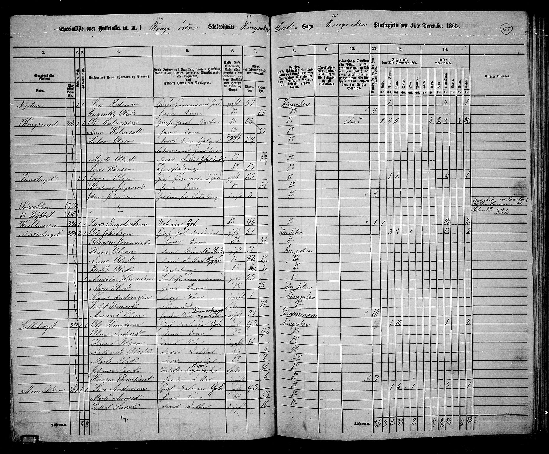 RA, 1865 census for Ringsaker, 1865, p. 373