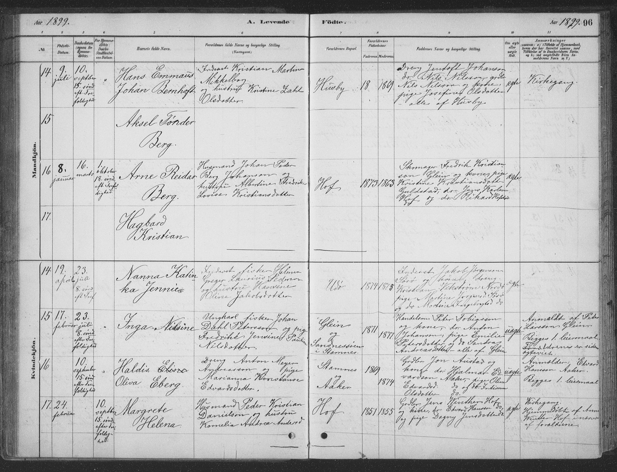 Ministerialprotokoller, klokkerbøker og fødselsregistre - Nordland, SAT/A-1459/835/L0532: Parish register (copy) no. 835C04, 1880-1905, p. 96