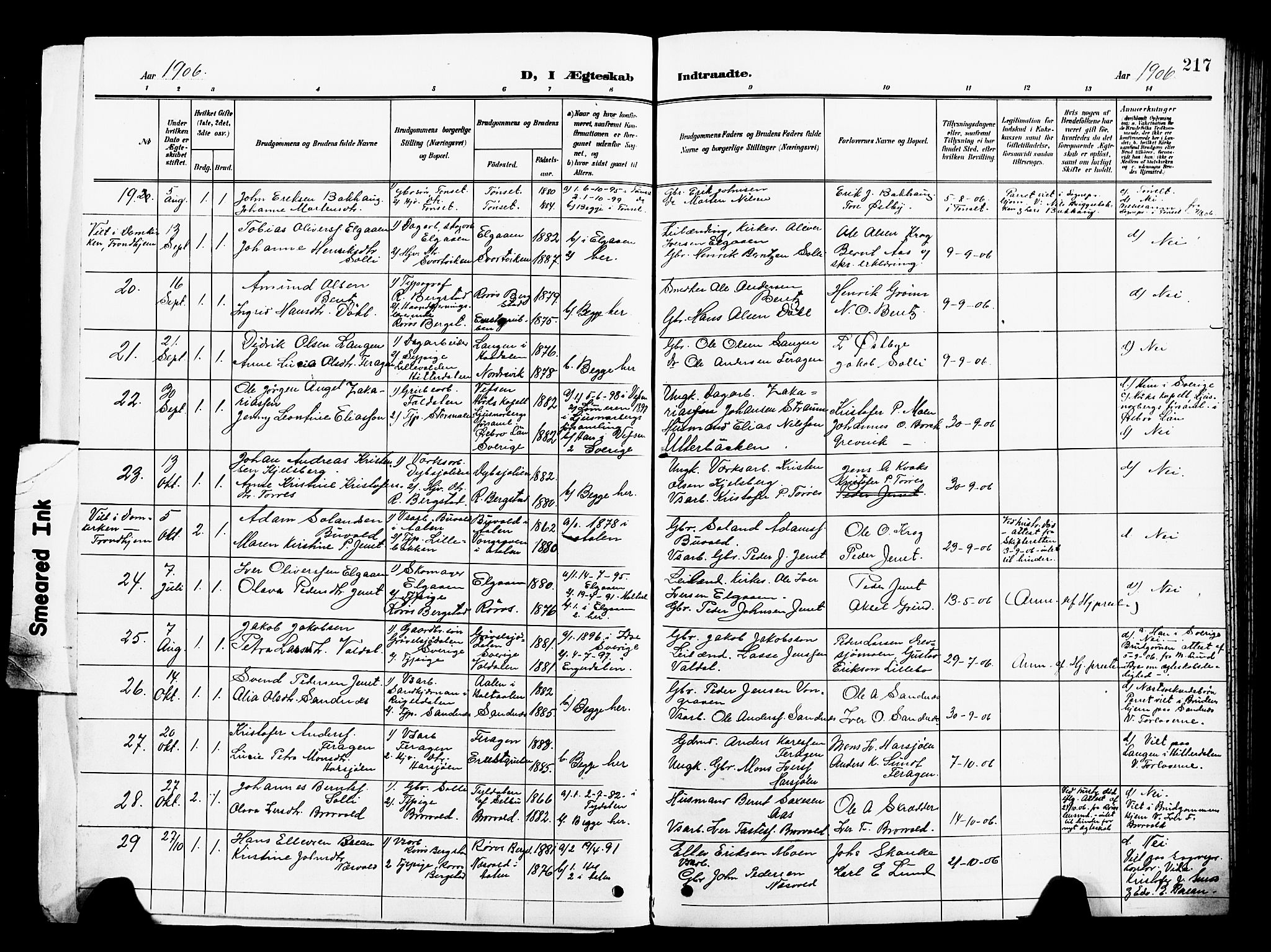 Ministerialprotokoller, klokkerbøker og fødselsregistre - Sør-Trøndelag, SAT/A-1456/681/L0942: Parish register (copy) no. 681C06, 1906-1925, p. 217