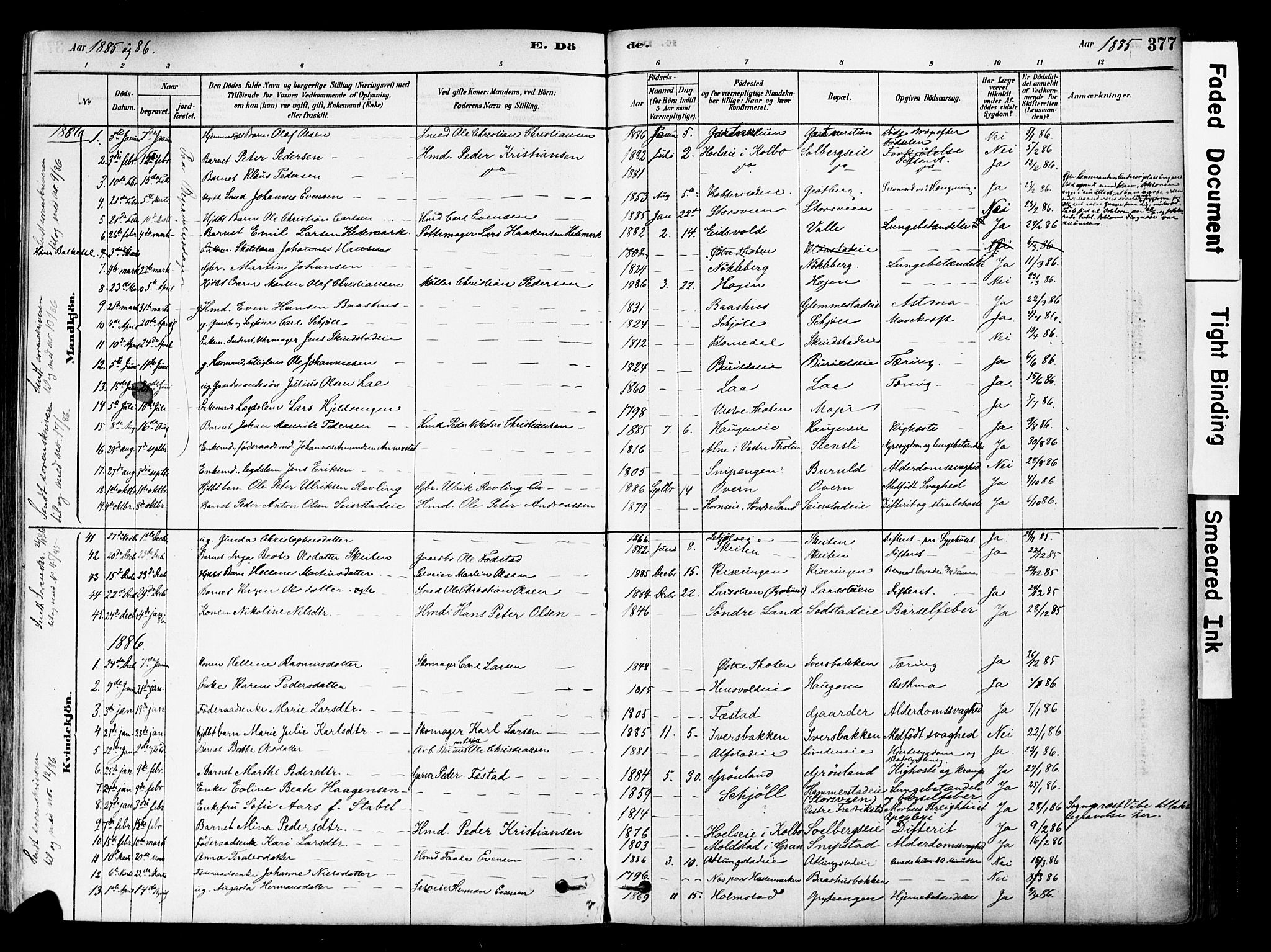 Østre Toten prestekontor, AV/SAH-PREST-104/H/Ha/Haa/L0006: Parish register (official) no. 6 /1, 1878-1896, p. 377
