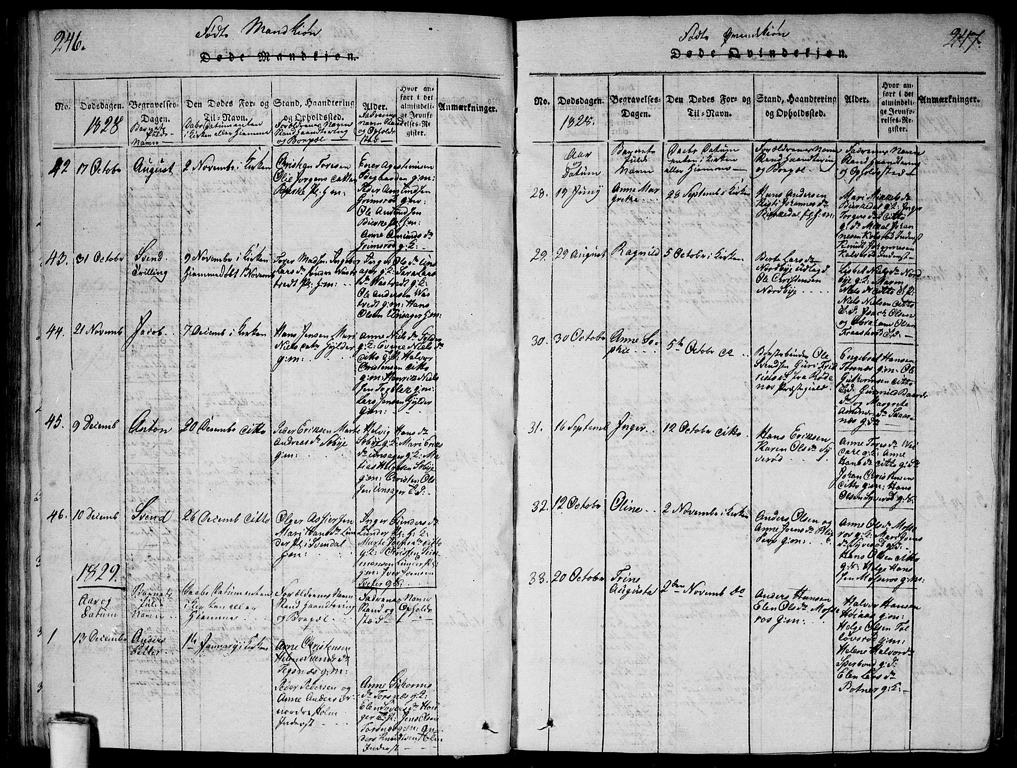 Våler prestekontor Kirkebøker, SAO/A-11083/G/Ga/L0001: Parish register (copy) no. I 1, 1815-1839, p. 246-247