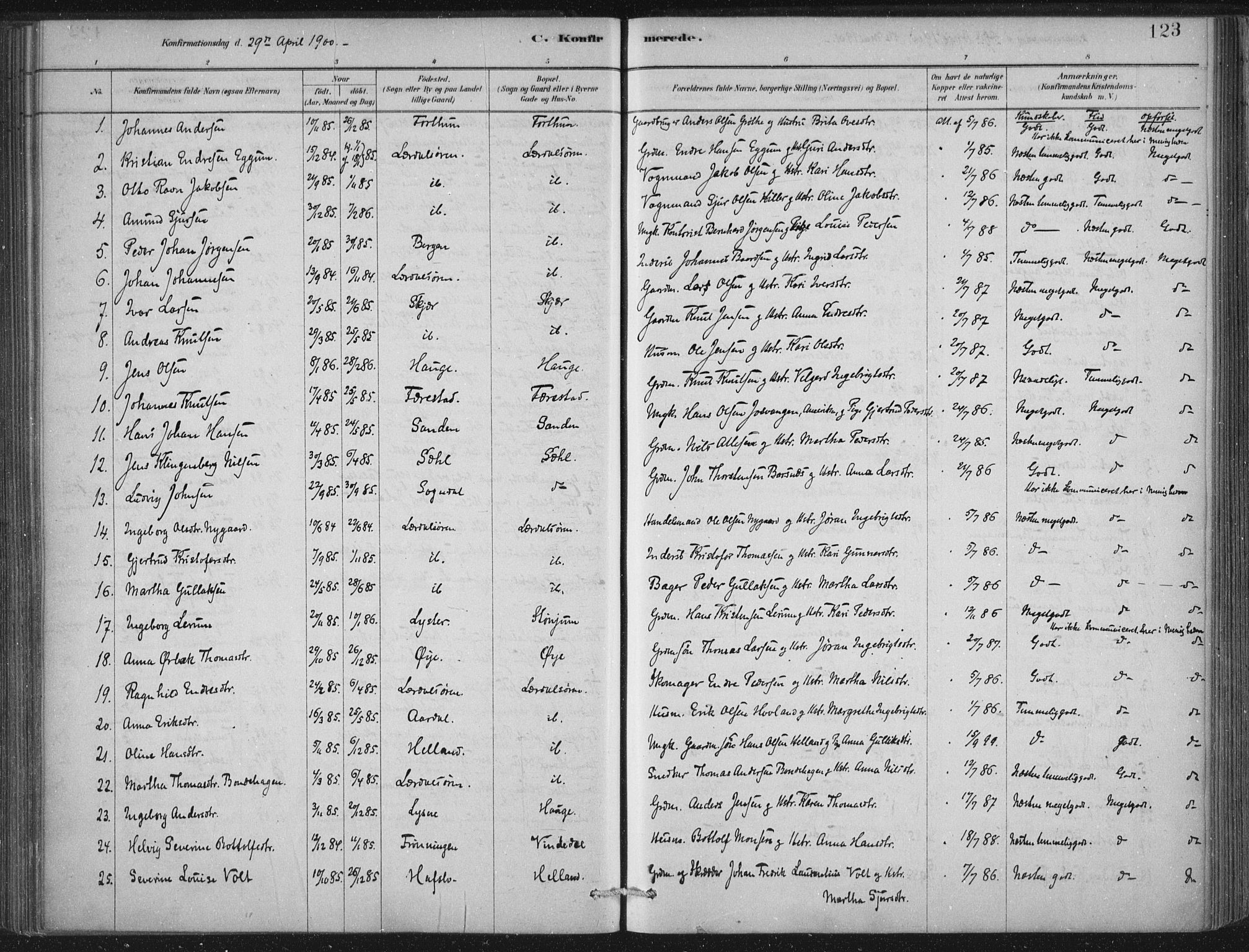 Lærdal sokneprestembete, SAB/A-81201: Parish register (official) no. D  1, 1878-1908, p. 123