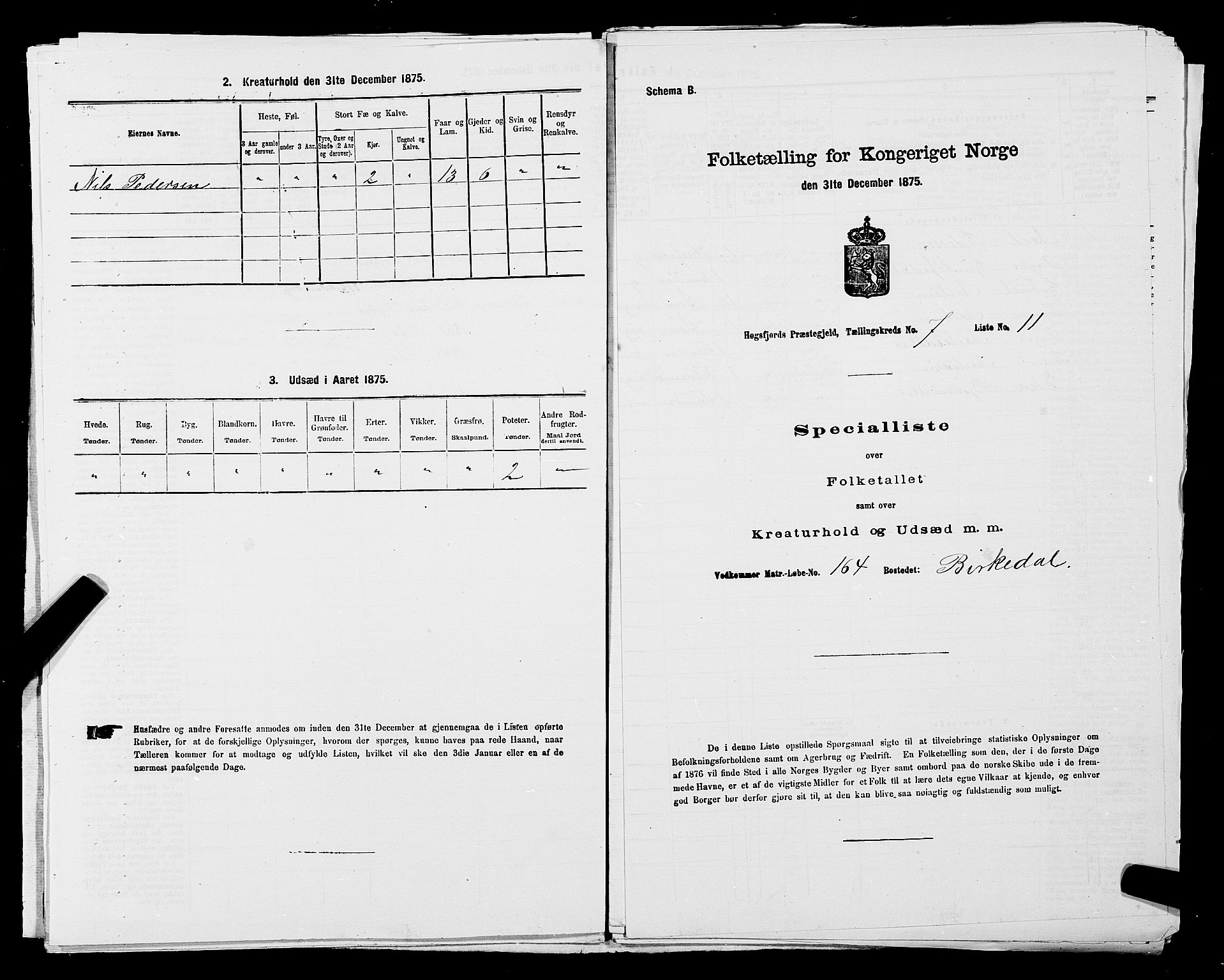 SAST, 1875 census for 1128P Høgsfjord, 1875, p. 618