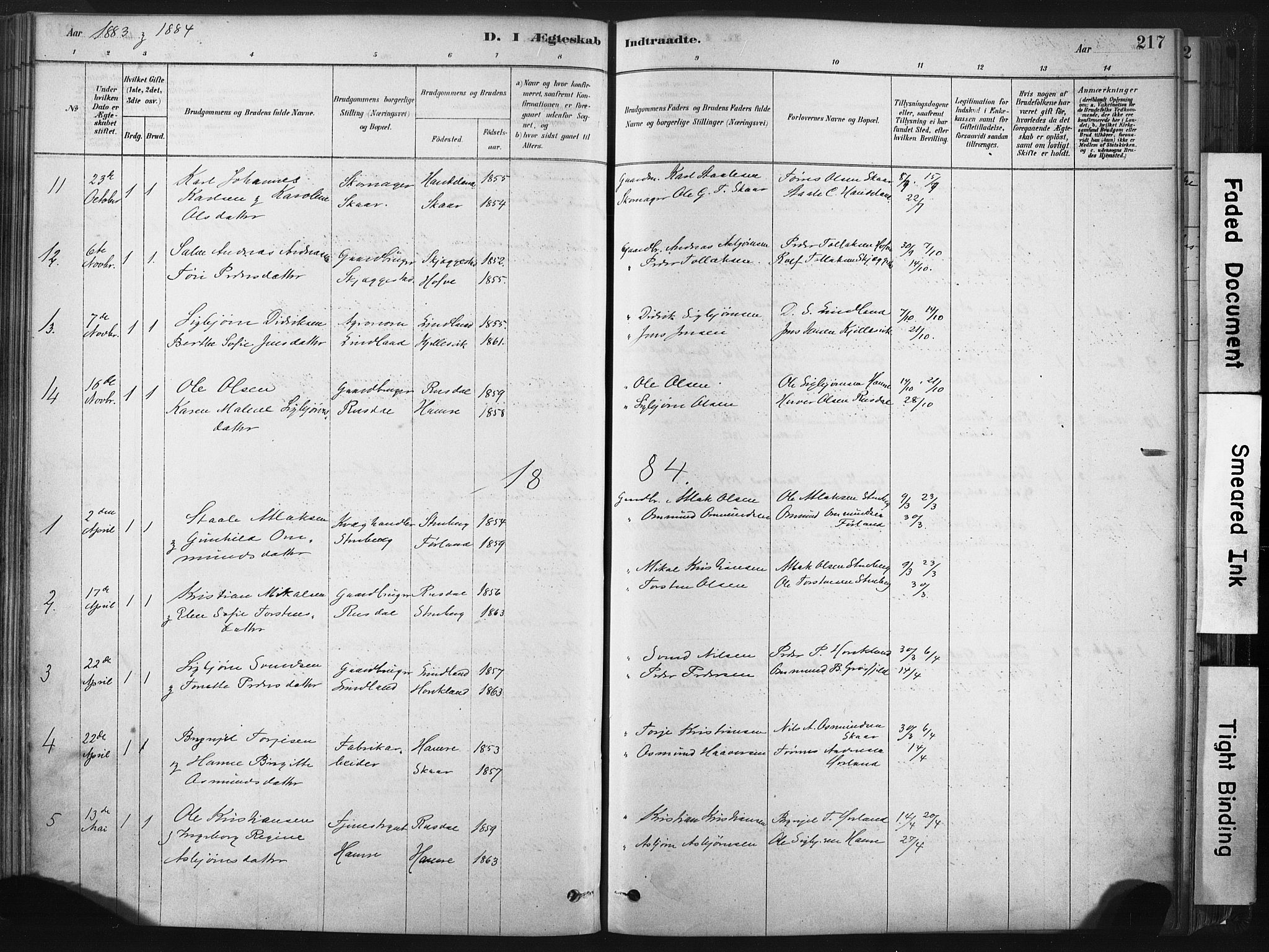 Lund sokneprestkontor, SAST/A-101809/S06/L0011: Parish register (official) no. A 10, 1877-1904, p. 217