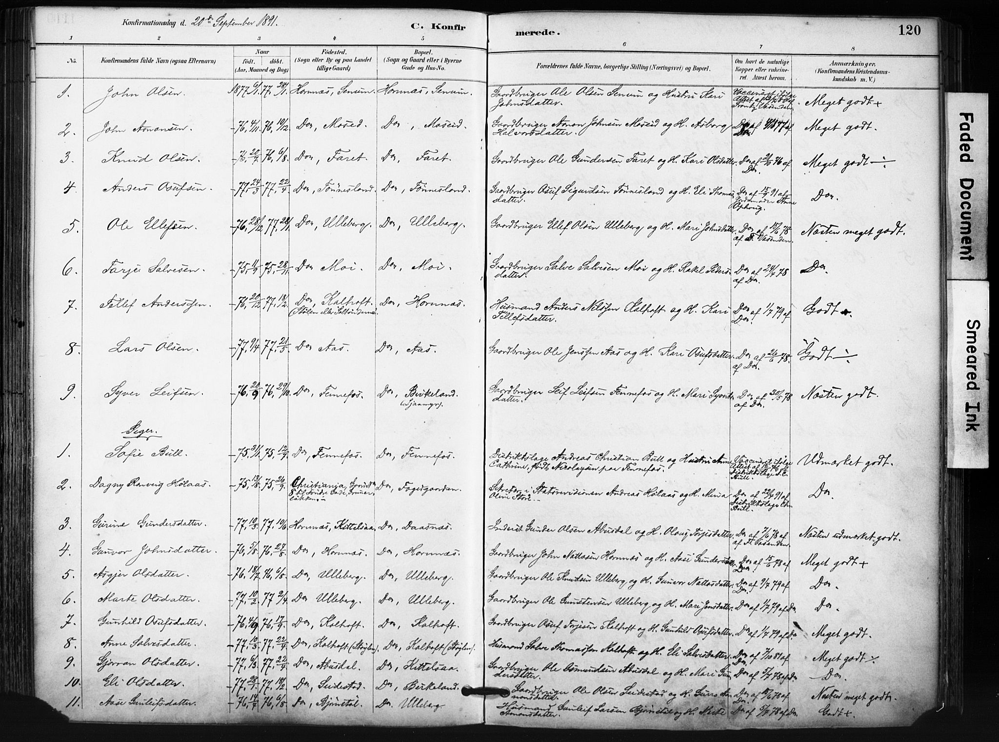 Evje sokneprestkontor, AV/SAK-1111-0008/F/Fa/Fab/L0003: Parish register (official) no. A 3, 1884-1909, p. 120