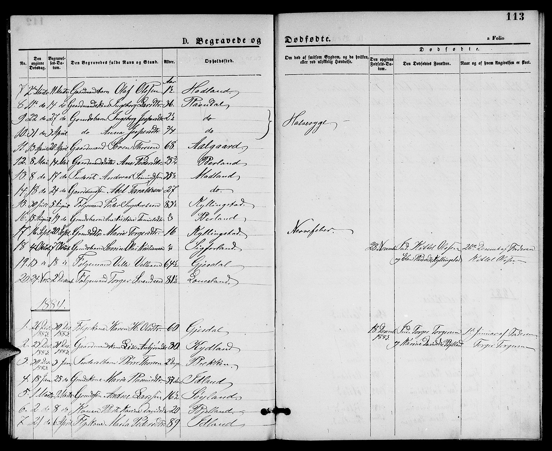 Lye sokneprestkontor, SAST/A-101794/001/30BB/L0005: Parish register (copy) no. B 5, 1875-1886, p. 113