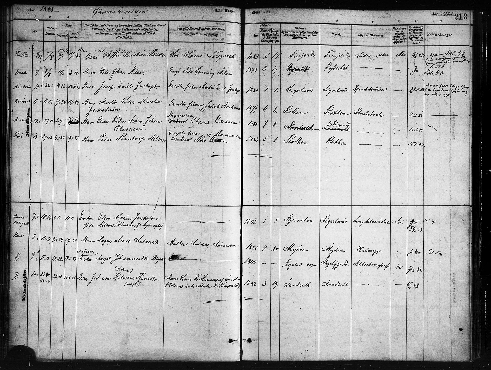 Ministerialprotokoller, klokkerbøker og fødselsregistre - Nordland, AV/SAT-A-1459/893/L1335: Parish register (official) no. 893A08 /1, 1878-1884, p. 213