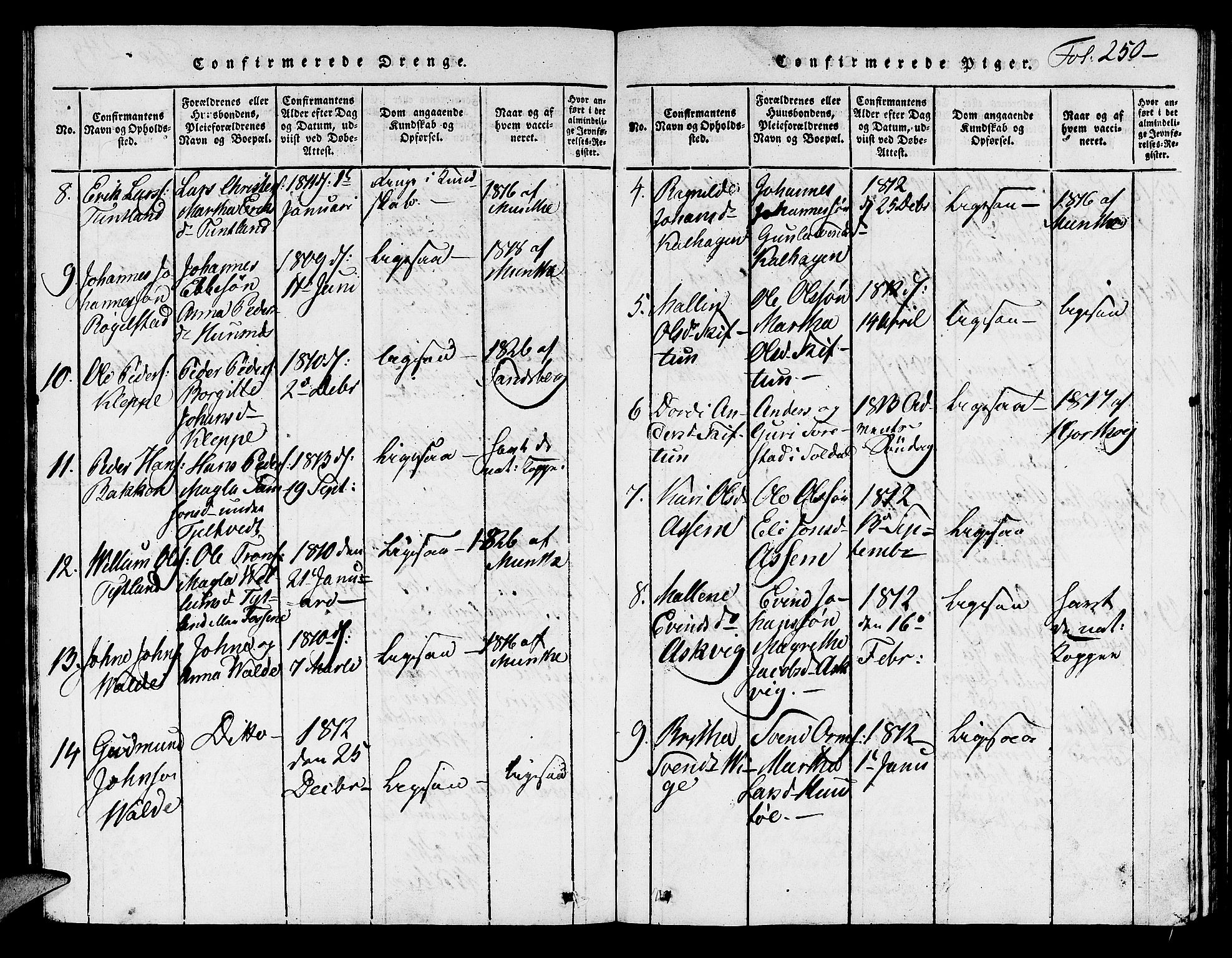 Hjelmeland sokneprestkontor, AV/SAST-A-101843/01/V/L0001: Parish register (copy) no. B 1, 1816-1841, p. 250