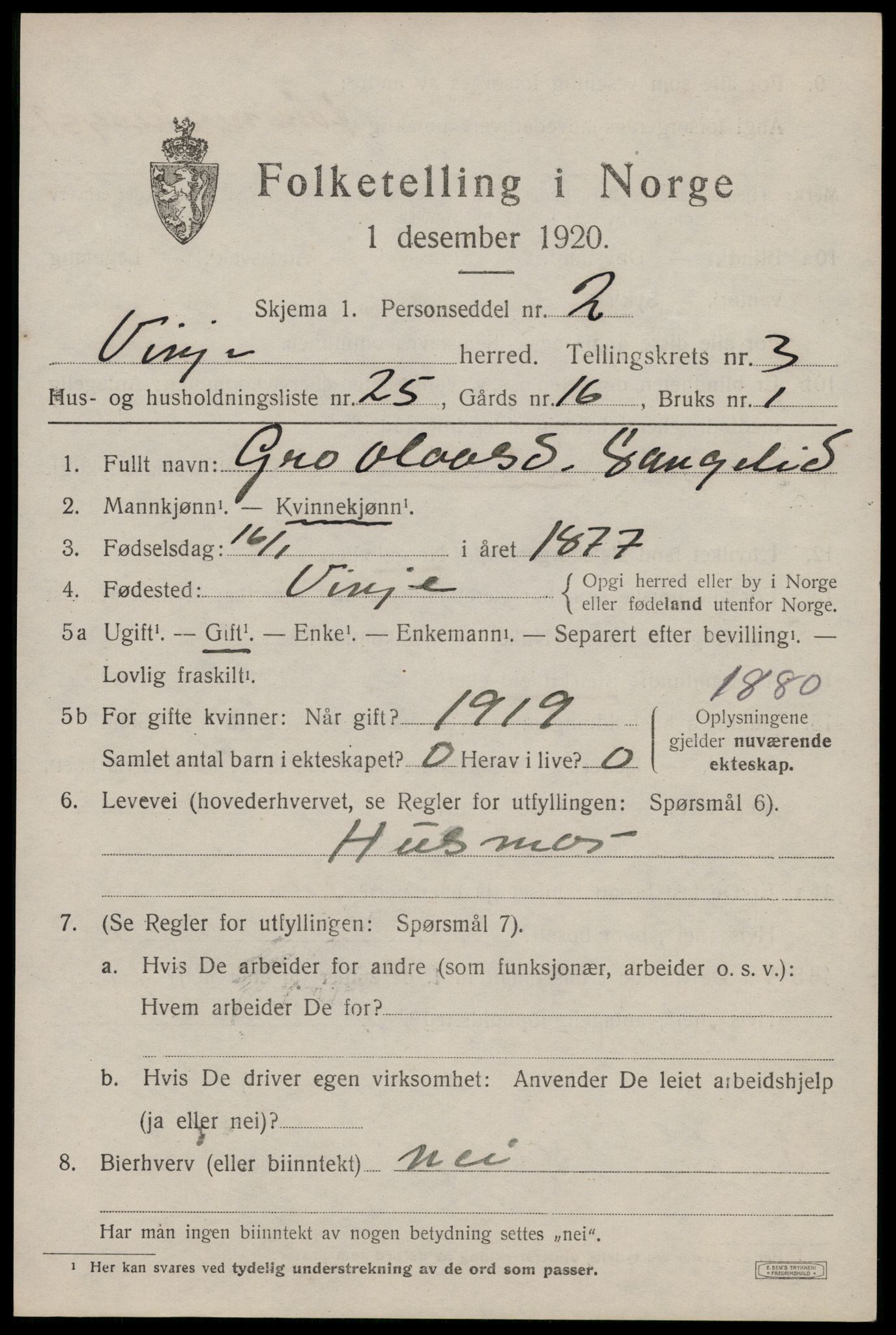 SAKO, 1920 census for Vinje, 1920, p. 1251