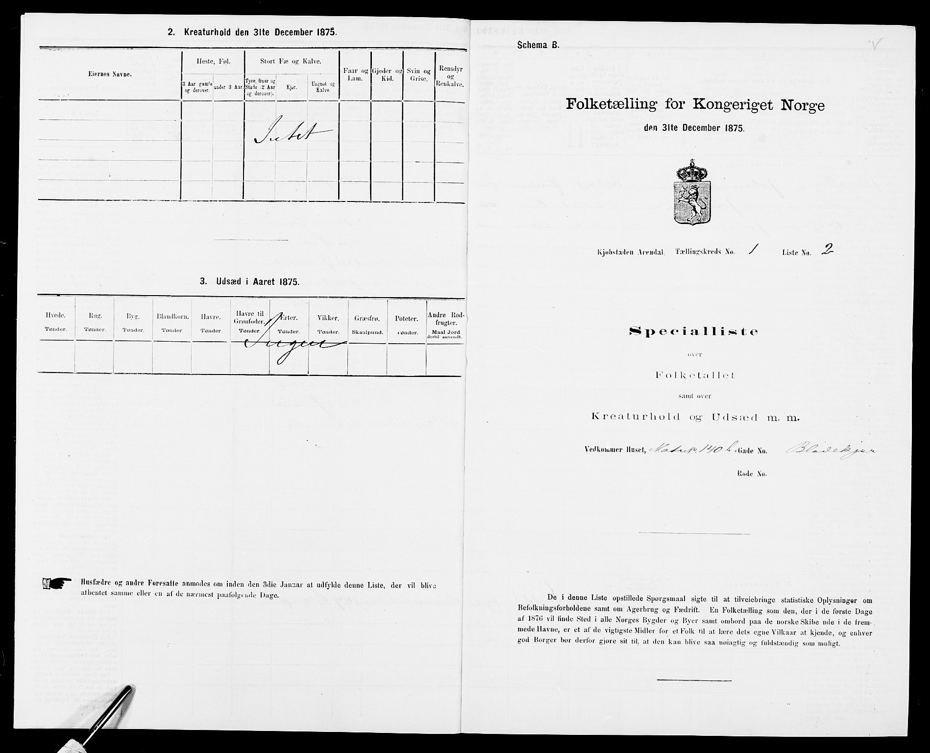 SAK, 1875 census for 0903P Arendal, 1875, p. 13