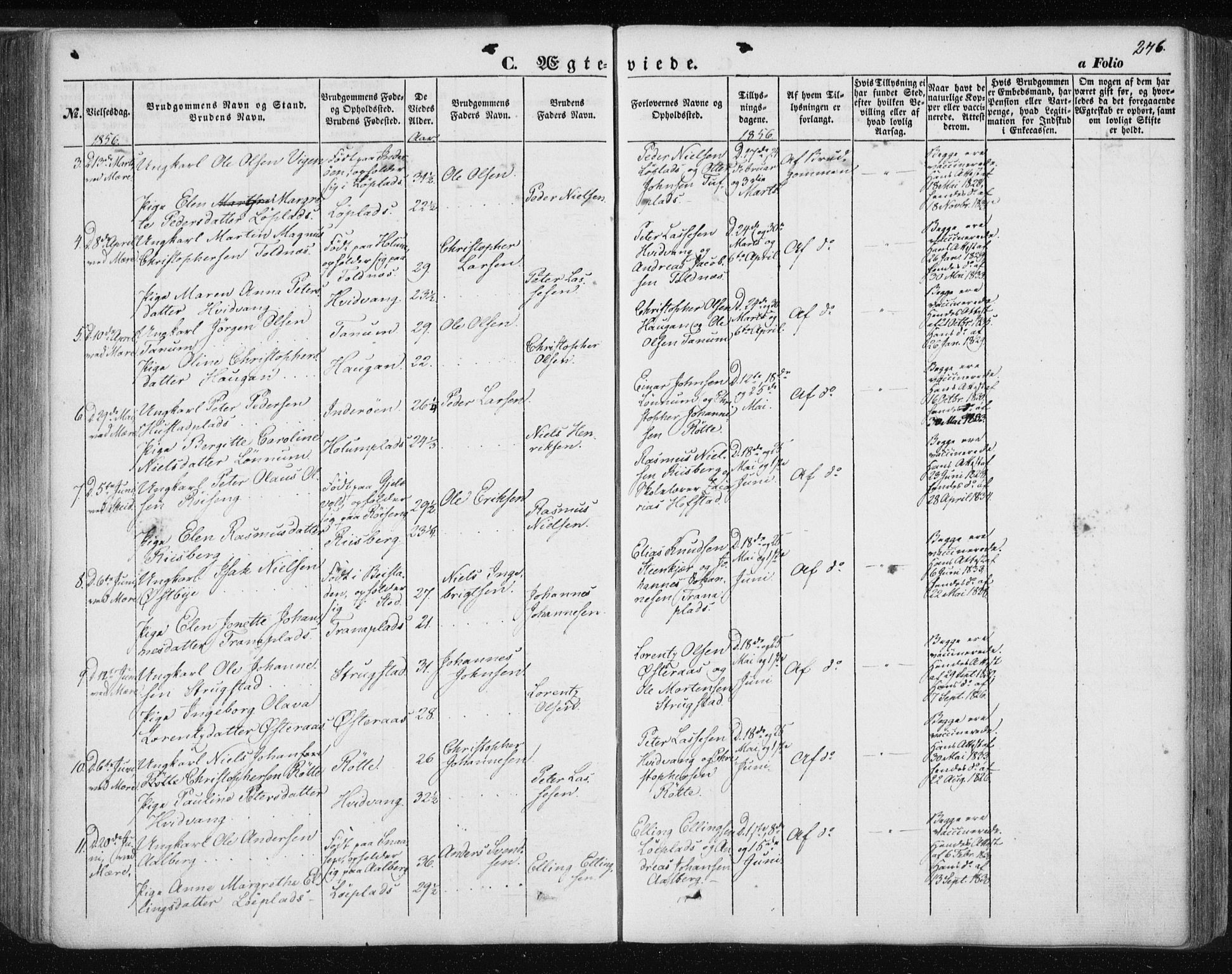 Ministerialprotokoller, klokkerbøker og fødselsregistre - Nord-Trøndelag, SAT/A-1458/735/L0342: Parish register (official) no. 735A07 /1, 1849-1862, p. 246