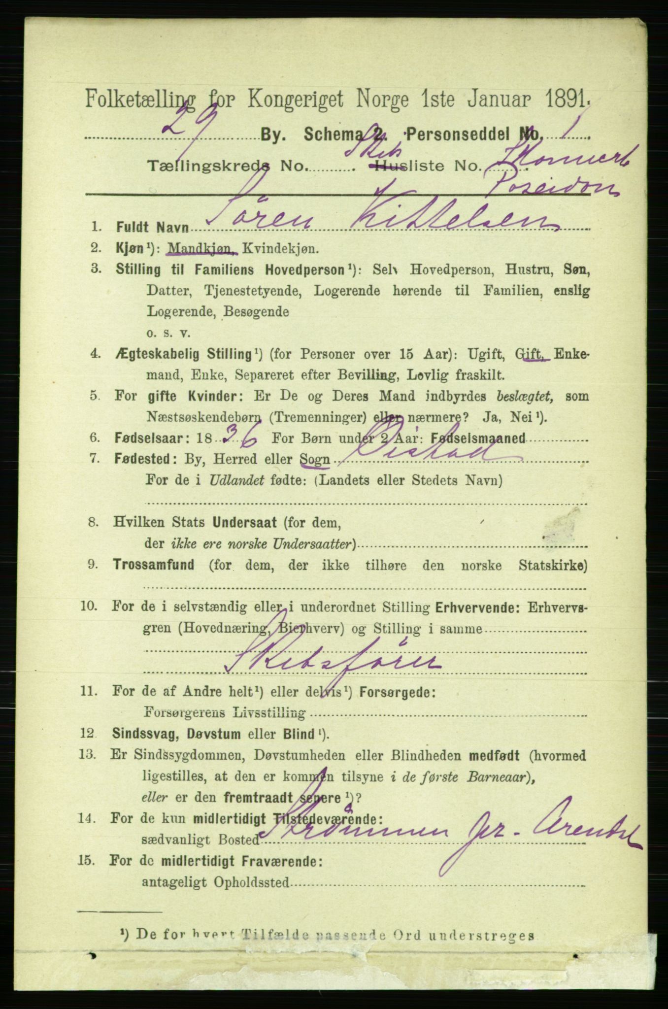 RA, 1891 census for 0805 Porsgrunn, 1891, p. 5450