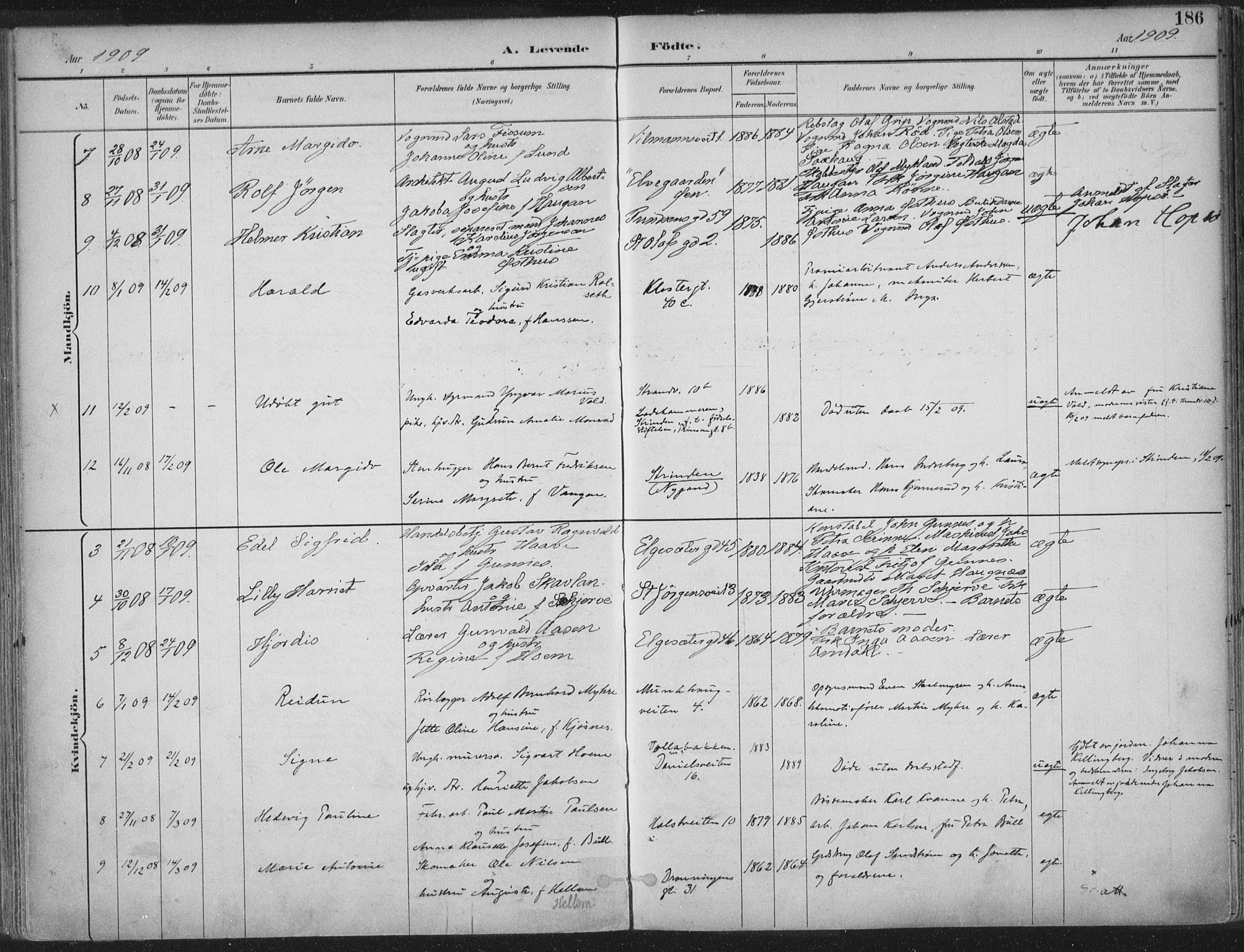Ministerialprotokoller, klokkerbøker og fødselsregistre - Sør-Trøndelag, SAT/A-1456/601/L0062: Parish register (official) no. 601A30, 1891-1911, p. 186