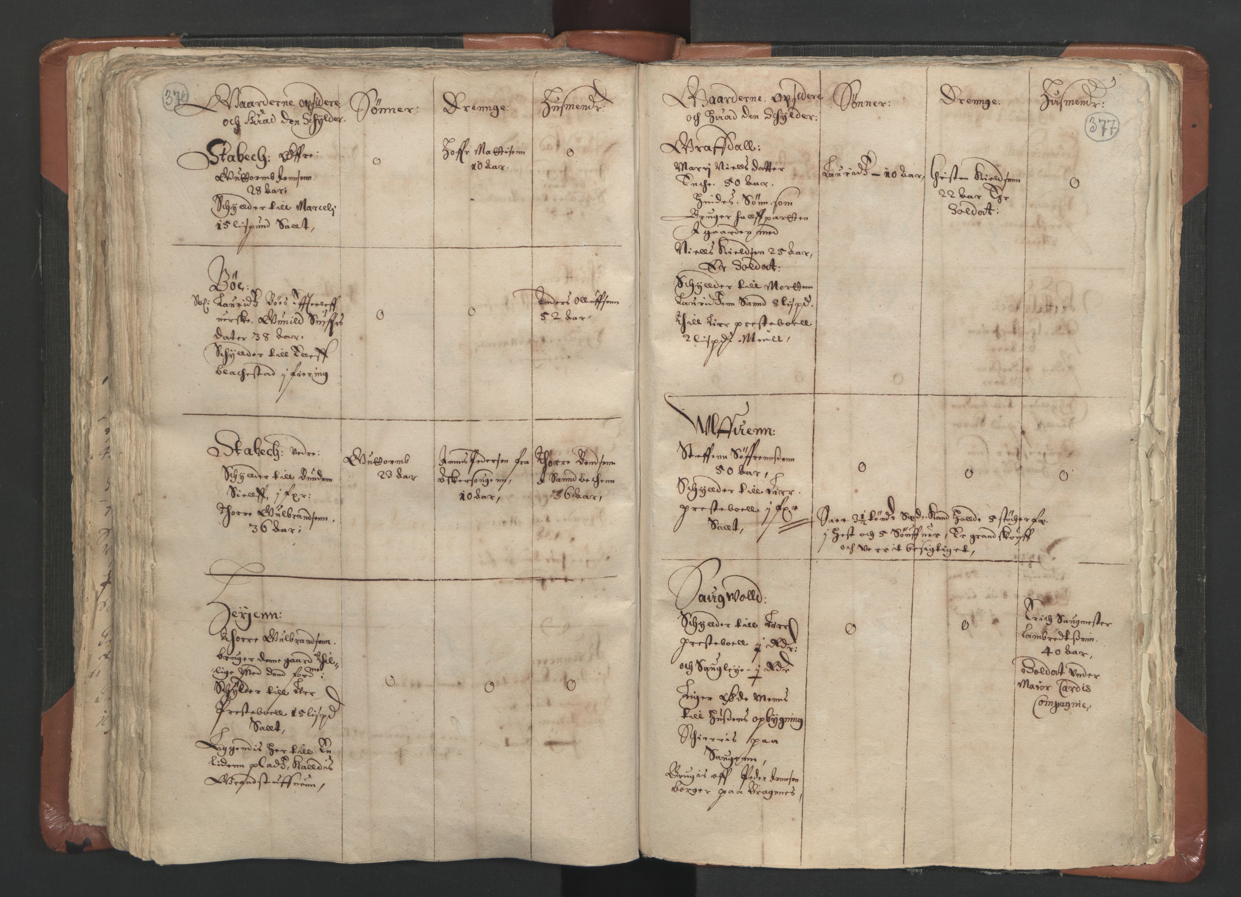 RA, Vicar's Census 1664-1666, no. 9: Bragernes deanery, 1664-1666, p. 376-377