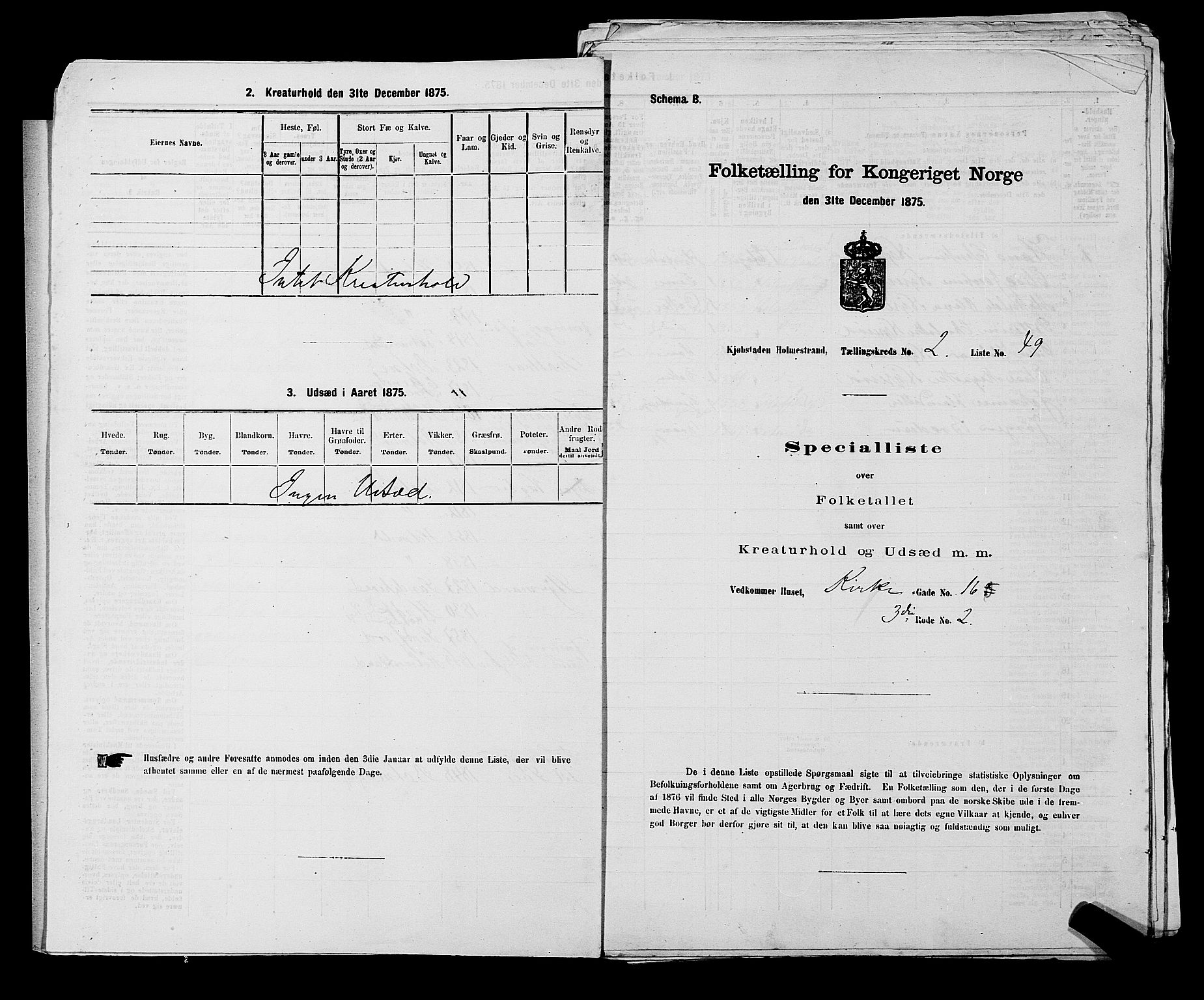 SAKO, 1875 census for 0702P Holmestrand, 1875, p. 118