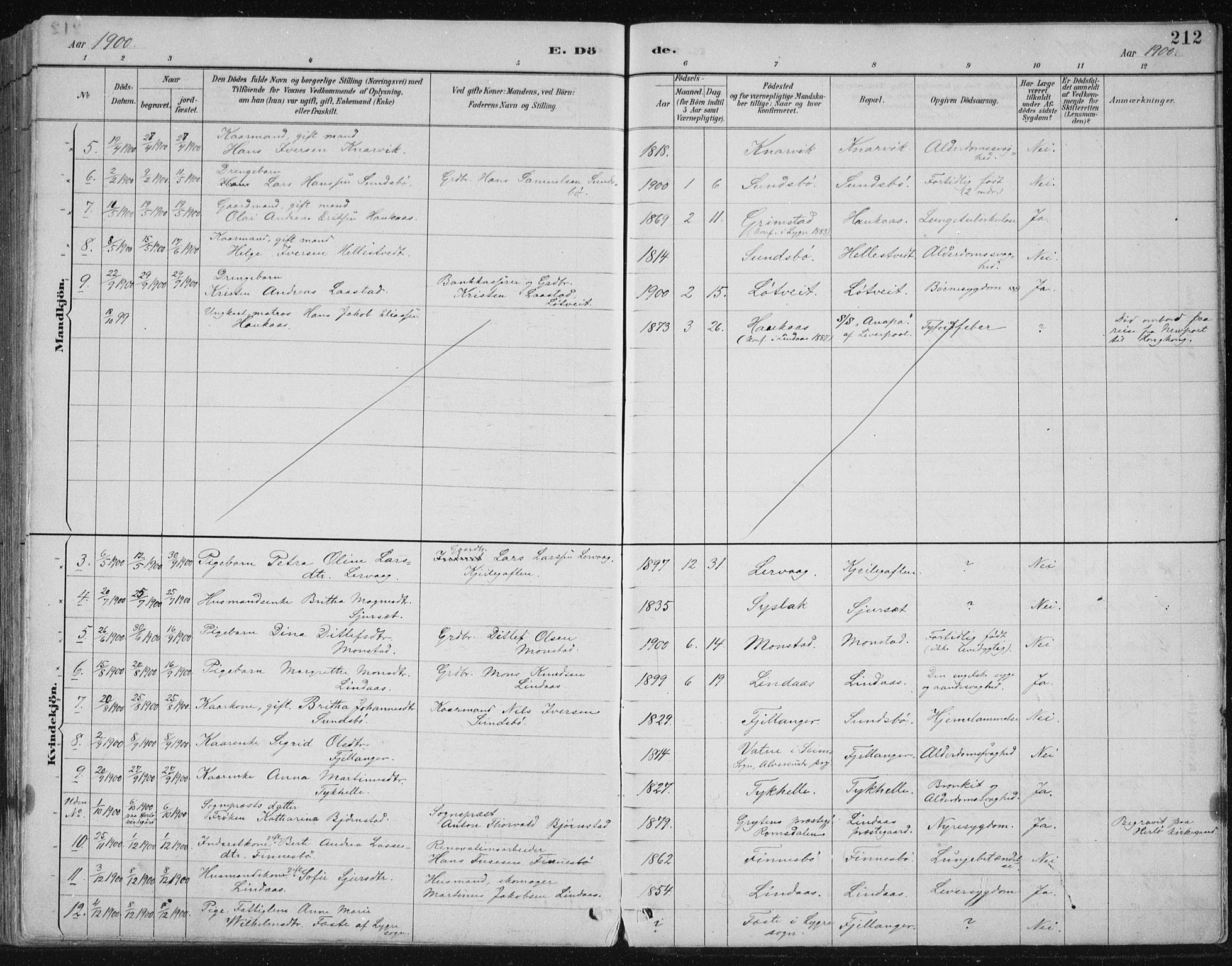 Lindås Sokneprestembete, SAB/A-76701/H/Hab: Parish register (copy) no. B 3, 1886-1914, p. 212
