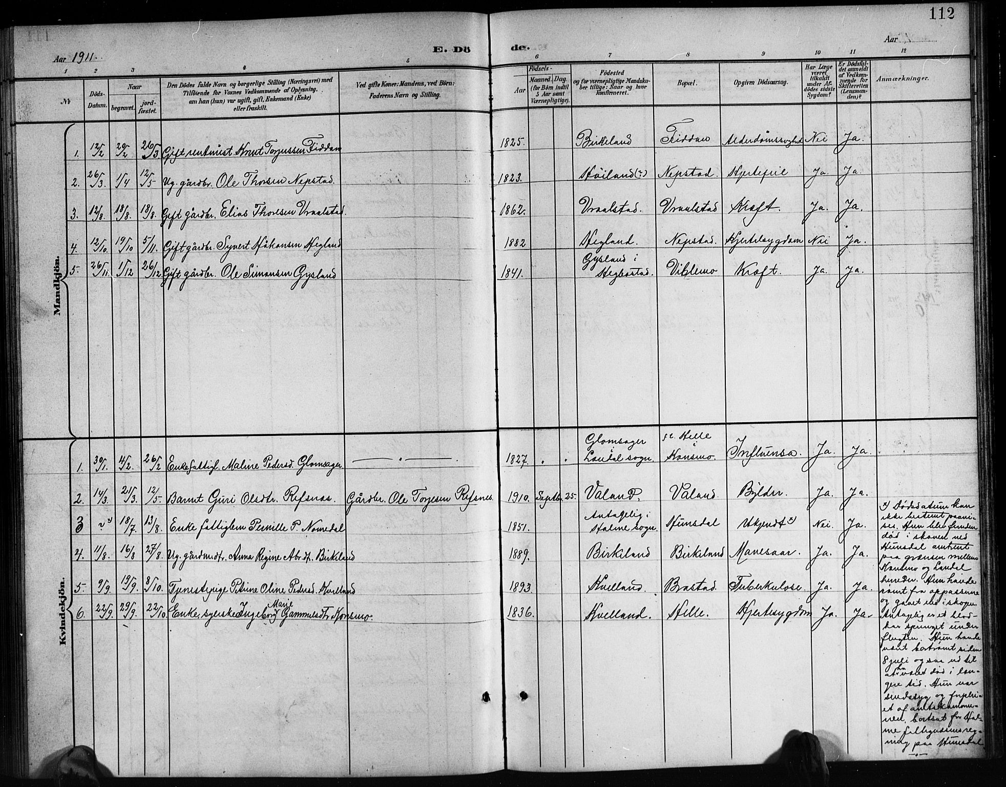 Nord-Audnedal sokneprestkontor, SAK/1111-0032/F/Fb/Fba/L0004: Parish register (copy) no. B 4, 1901-1917, p. 112