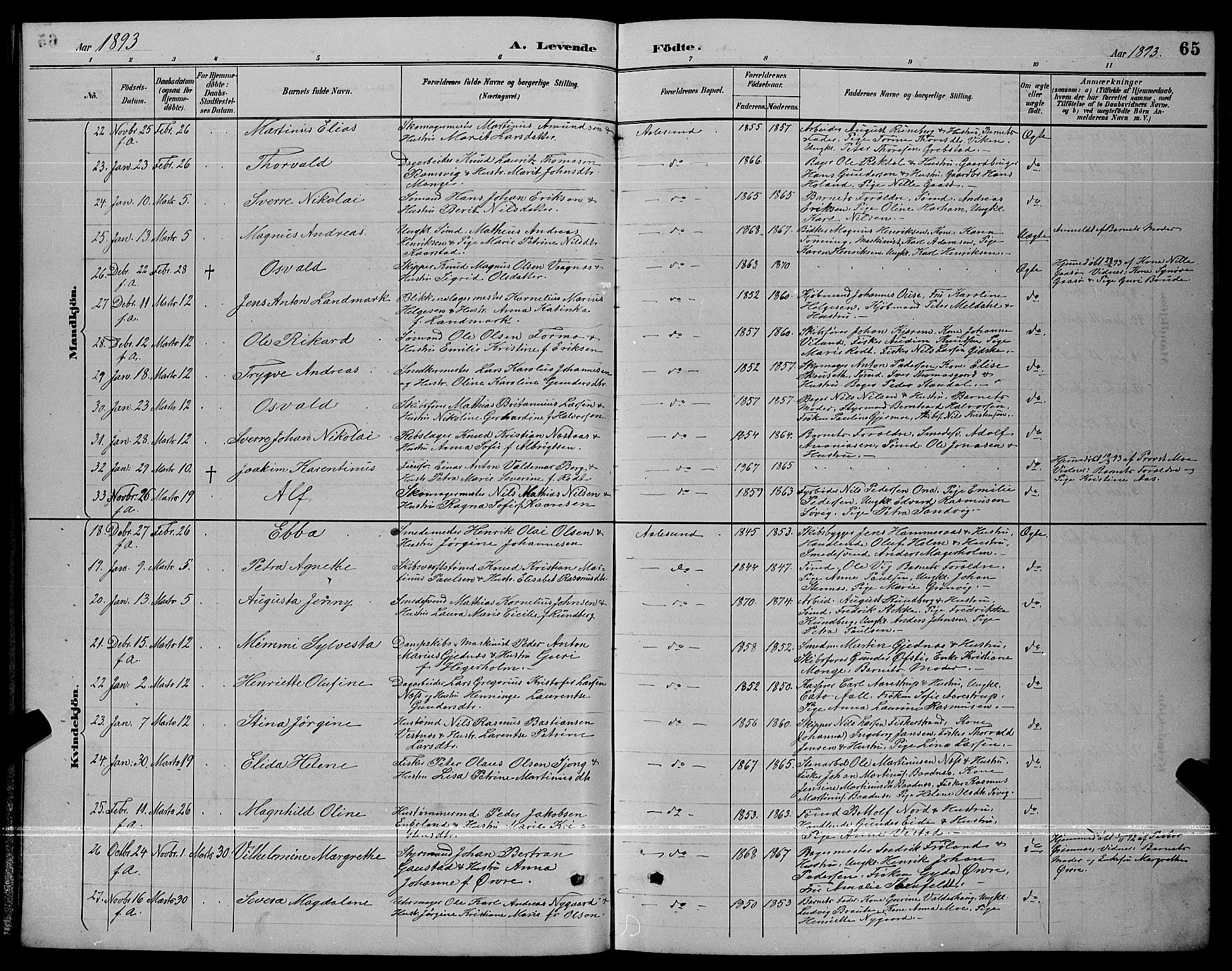 Ministerialprotokoller, klokkerbøker og fødselsregistre - Møre og Romsdal, AV/SAT-A-1454/529/L0467: Parish register (copy) no. 529C04, 1889-1897, p. 65